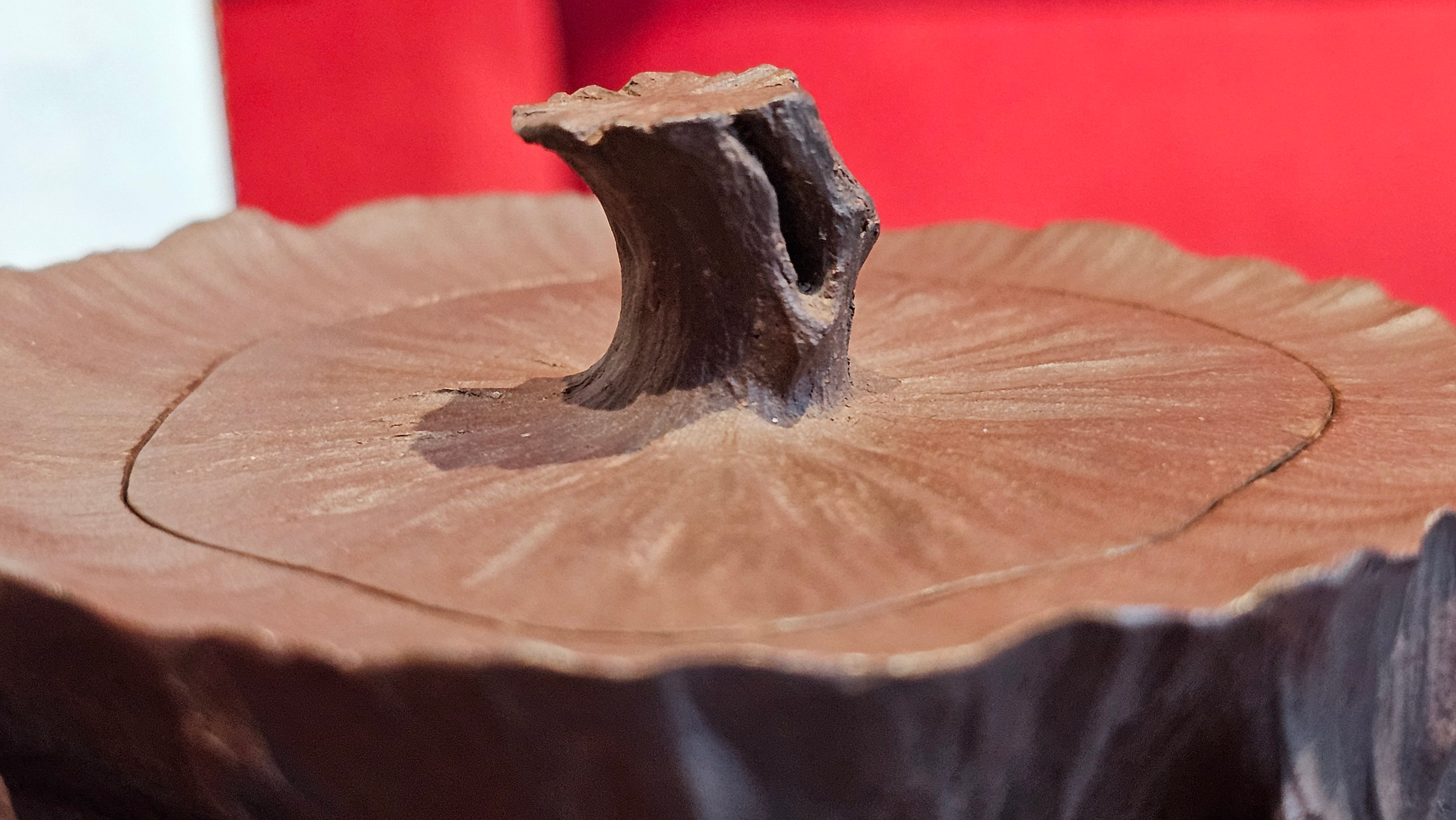 Commissioned work for Patron Mr Engel accomplished: Assoc Master 张雪磊 Zhang Xue Lei crafting the World Debut Ornate ZiSha Work Taking After The "Methuselah" Bristlecone Pine of North America. ~ Part 2 ~ 173 photos.