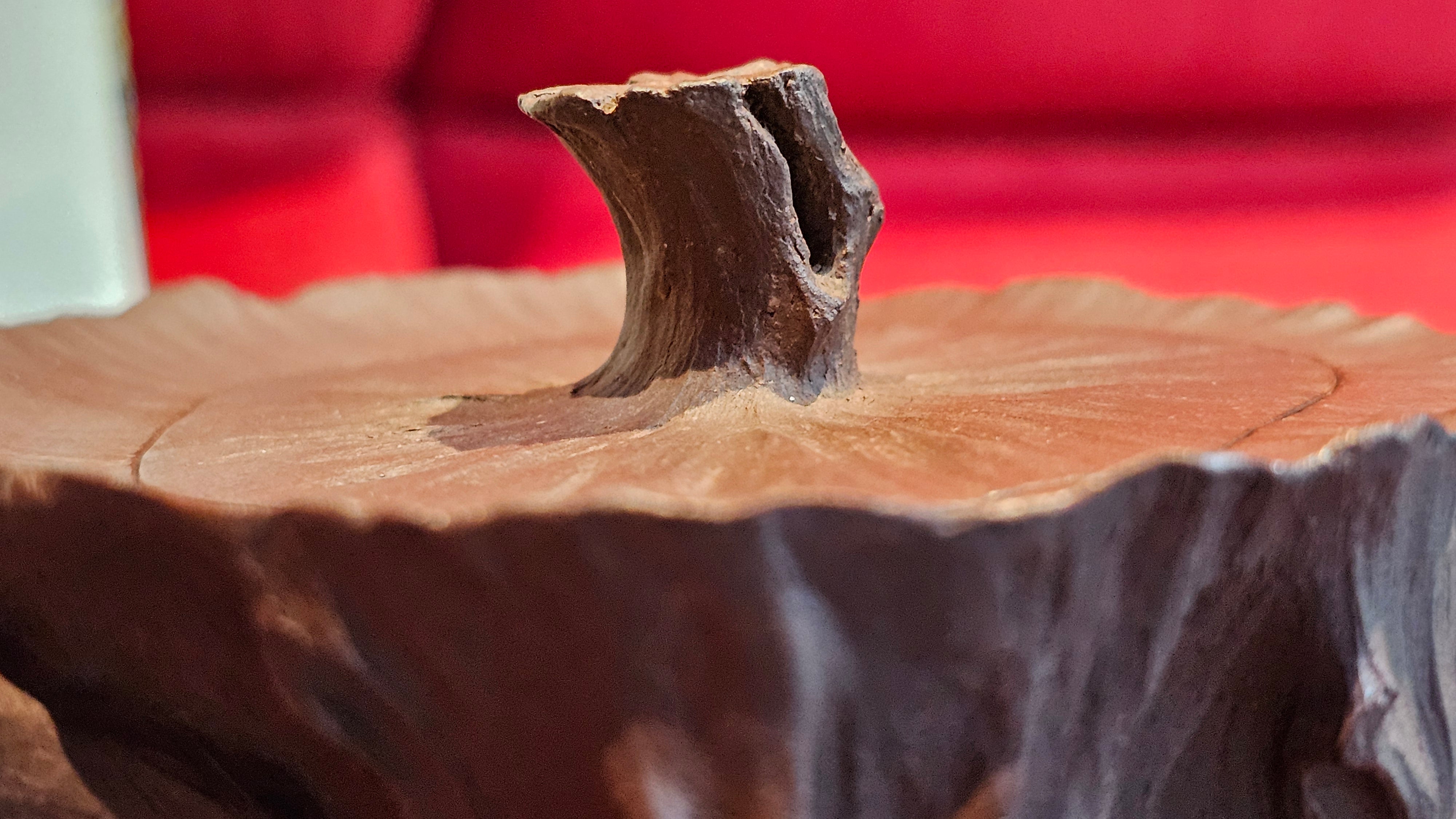 Commissioned work for Patron Mr Engel accomplished: Assoc Master 张雪磊 Zhang Xue Lei crafting the World Debut Ornate ZiSha Work Taking After The "Methuselah" Bristlecone Pine of North America. ~ Part 2 ~ 173 photos.