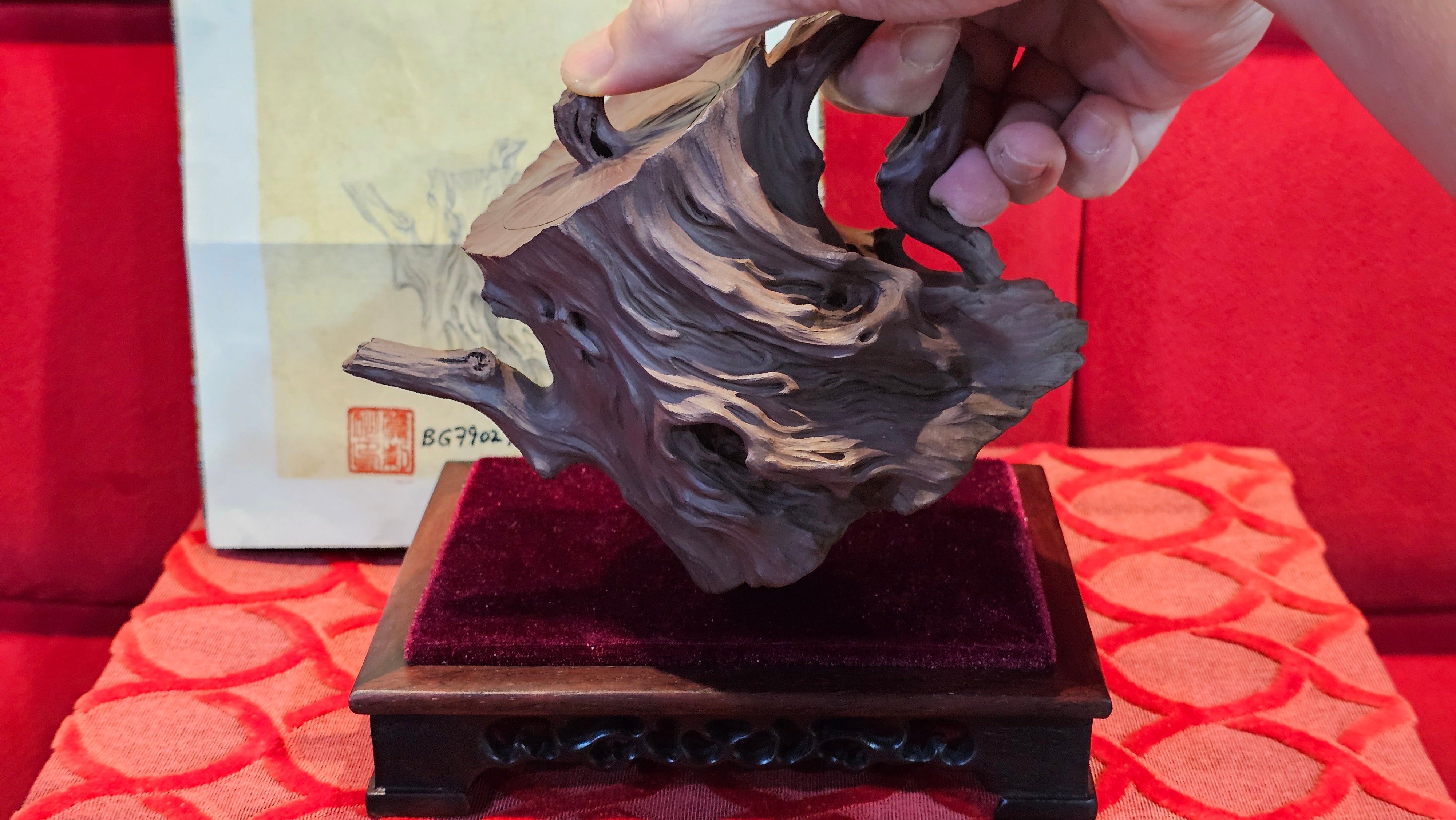 Commissioned work for Patron Mr Engel accomplished: Assoc Master 张雪磊 Zhang Xue Lei crafting the World Debut Ornate ZiSha Work Taking After The "Methuselah" Bristlecone Pine of North America. ~ Part 2 ~ 173 photos.