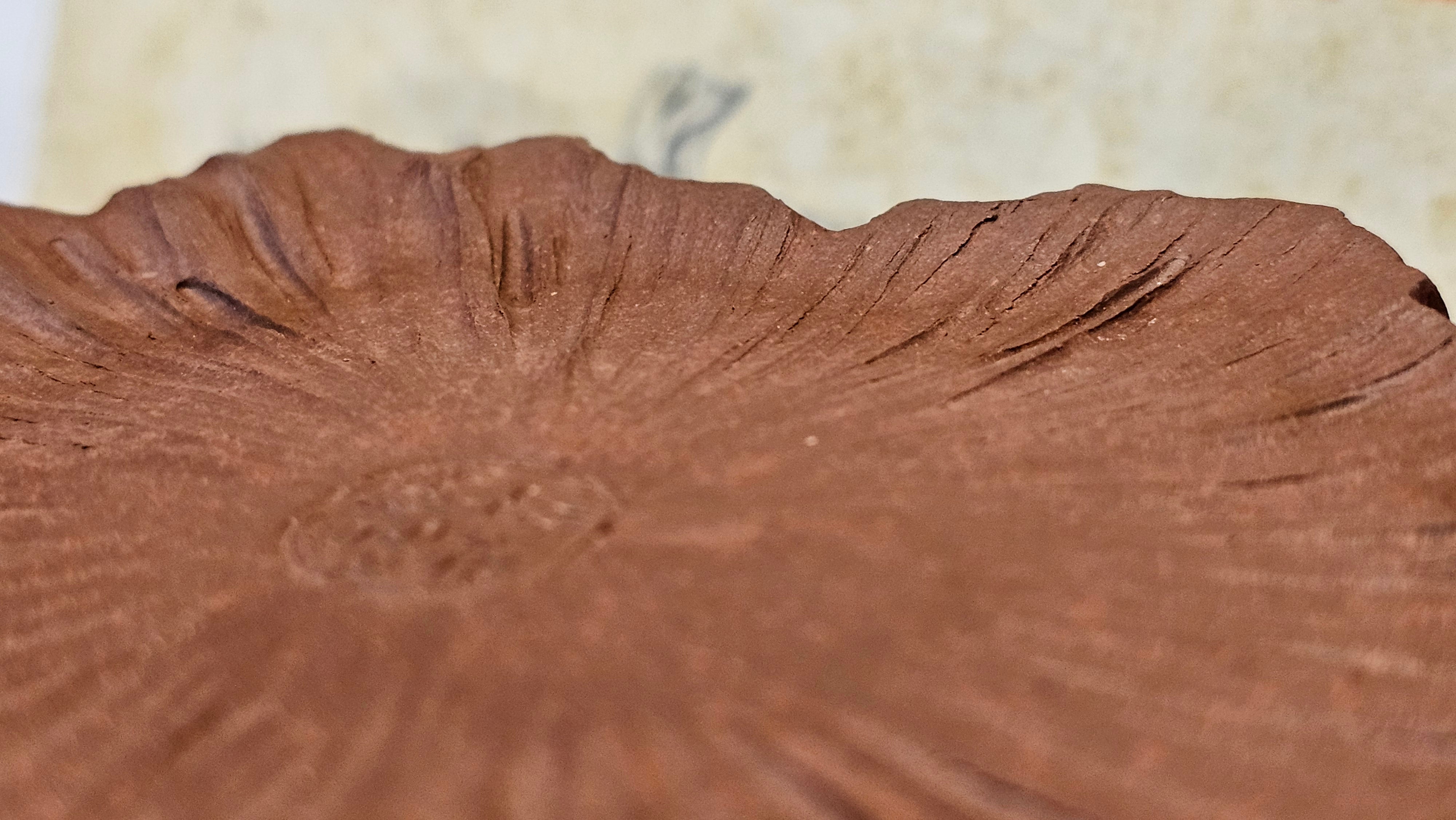 Commissioned work for Patron Mr Engel accomplished: Assoc Master 张雪磊 Zhang Xue Lei crafting the World Debut Ornate ZiSha Work Taking After The "Methuselah" Bristlecone Pine of North America. ~ Part 2 ~ 173 photos.