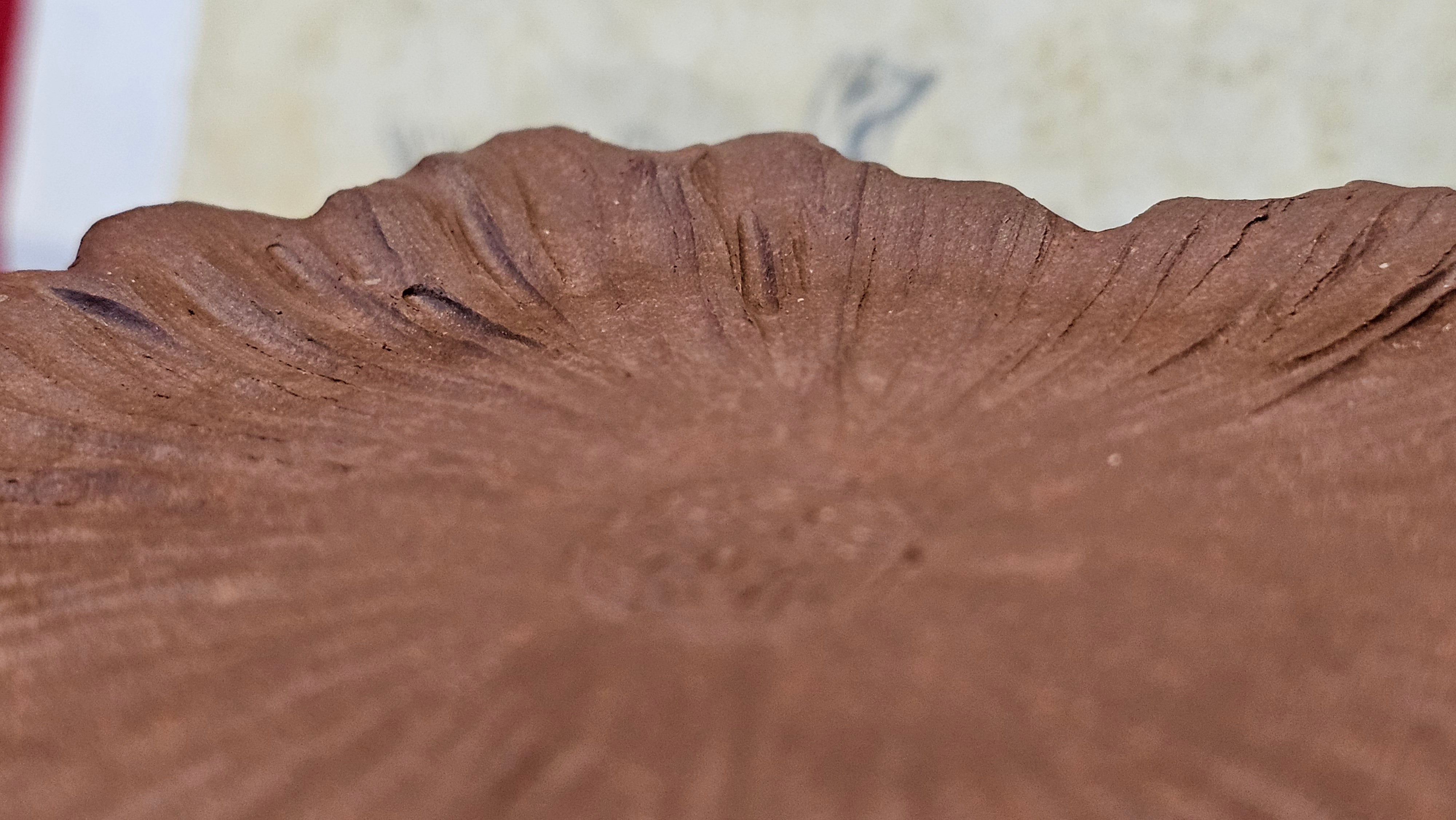 Commissioned work for Patron Mr Engel accomplished: Assoc Master 张雪磊 Zhang Xue Lei crafting the World Debut Ornate ZiSha Work Taking After The "Methuselah" Bristlecone Pine of North America. ~ Part 2 ~ 173 photos.