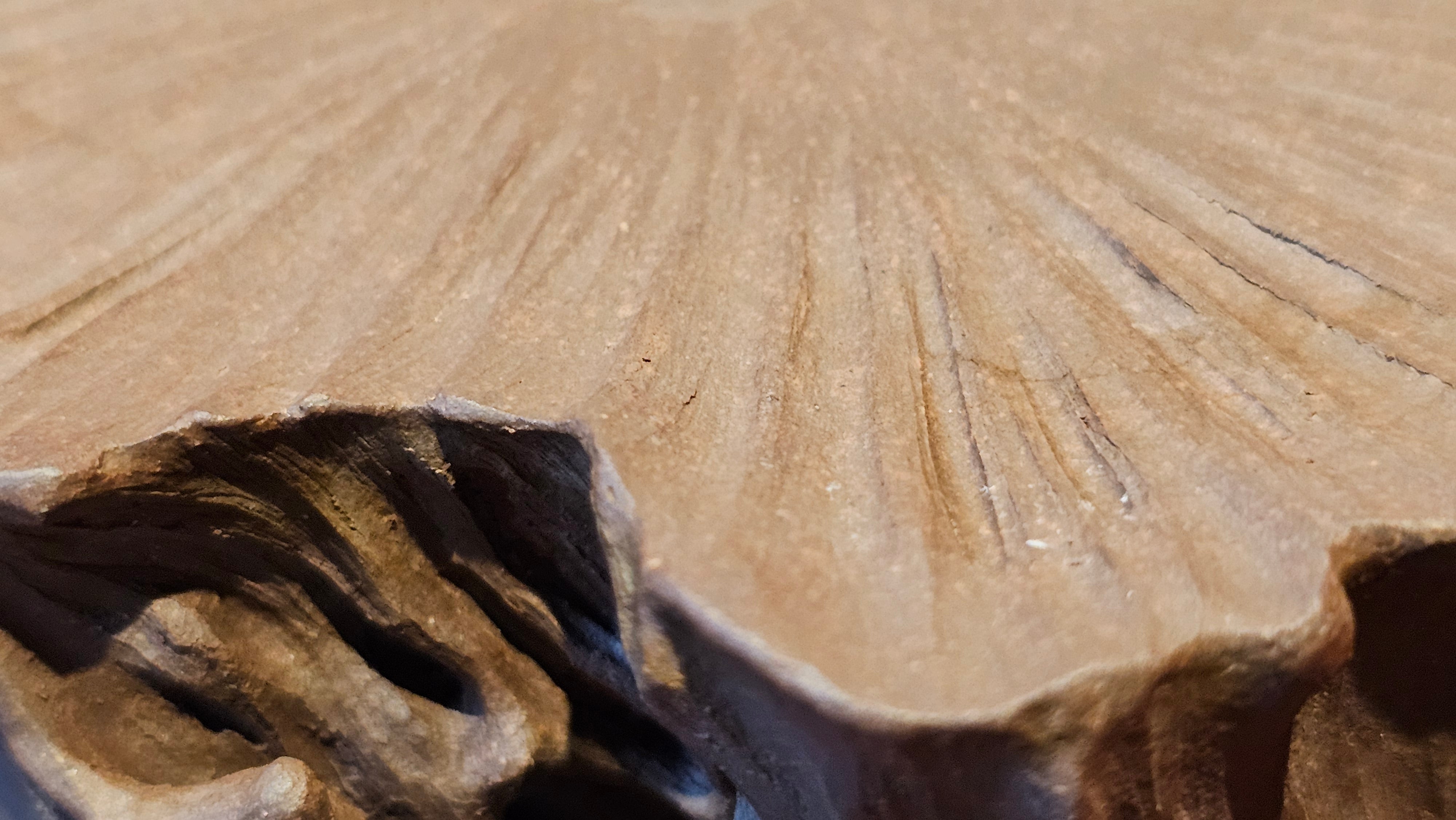 Commissioned work for Patron Mr Engel accomplished: Assoc Master 张雪磊 Zhang Xue Lei crafting the World Debut Ornate ZiSha Work Taking After The "Methuselah" Bristlecone Pine of North America. ~ Part 2 ~ 173 photos.