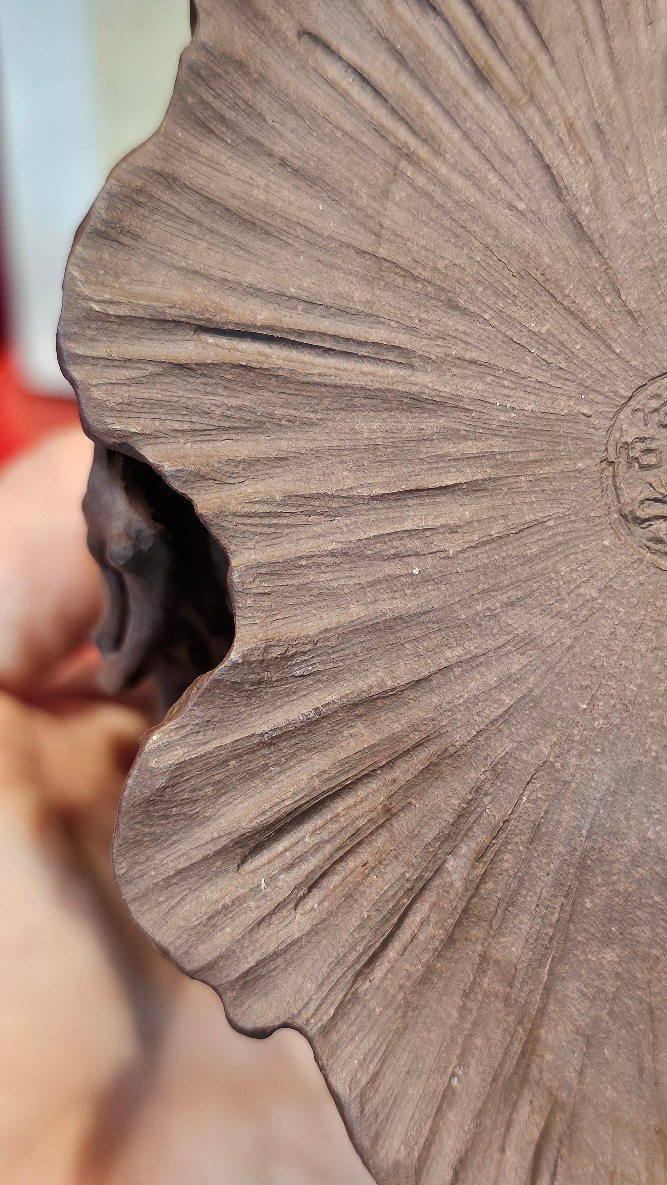 Commissioned work for Patron Mr Engel accomplished: Assoc Master 张雪磊 Zhang Xue Lei crafting the World Debut Ornate ZiSha Work Taking After The "Methuselah" Bristlecone Pine of North America. ~ Part 2 ~ 173 photos.