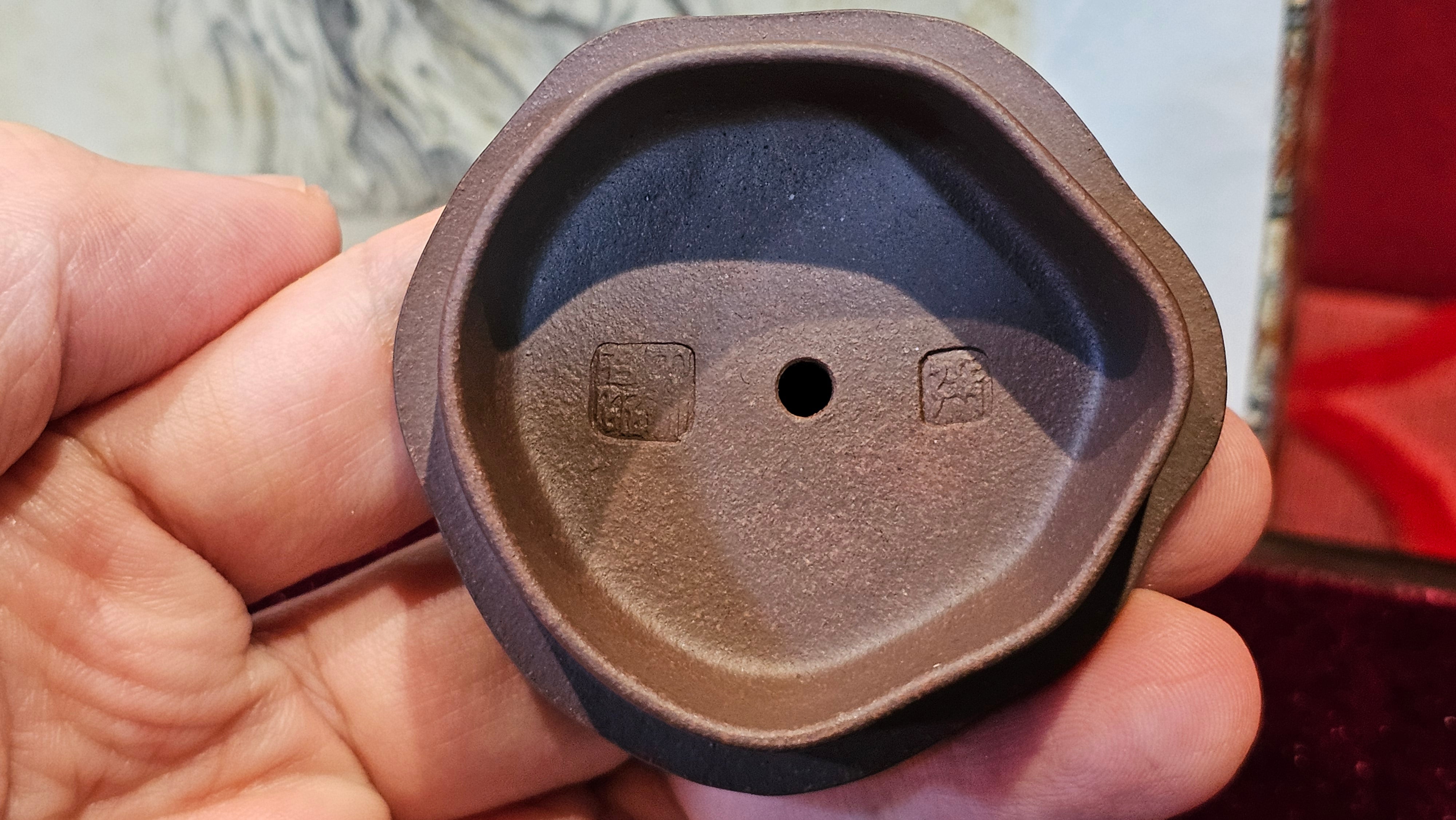 Commissioned work for Patron Mr Engel accomplished: Assoc Master 张雪磊 Zhang Xue Lei crafting the World Debut Ornate ZiSha Work Taking After The "Methuselah" Bristlecone Pine of North America. ~ Part 2 ~ 173 photos.