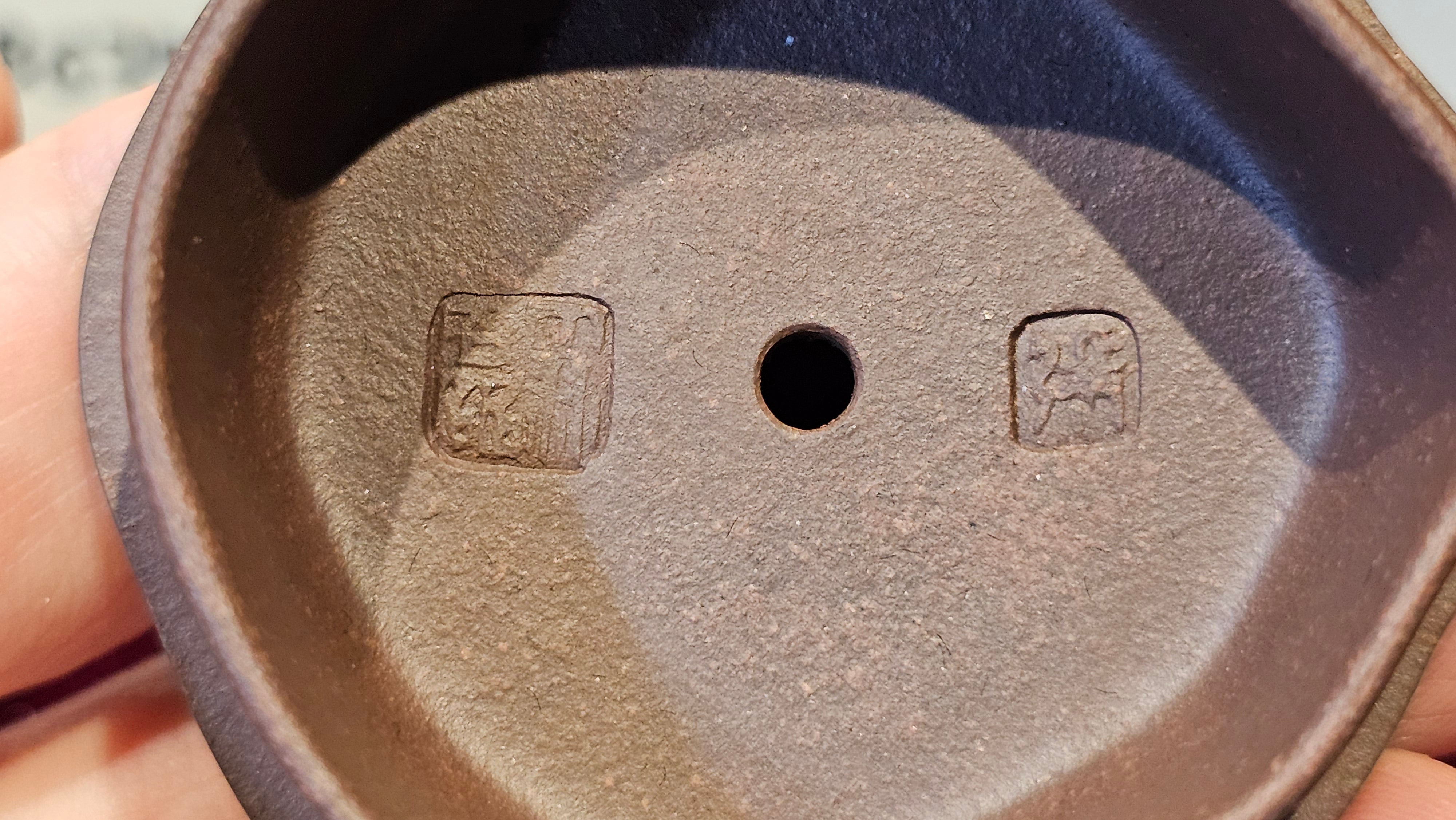 Commissioned work for Patron Mr Engel accomplished: Assoc Master 张雪磊 Zhang Xue Lei crafting the World Debut Ornate ZiSha Work Taking After The "Methuselah" Bristlecone Pine of North America. ~ Part 2 ~ 173 photos.