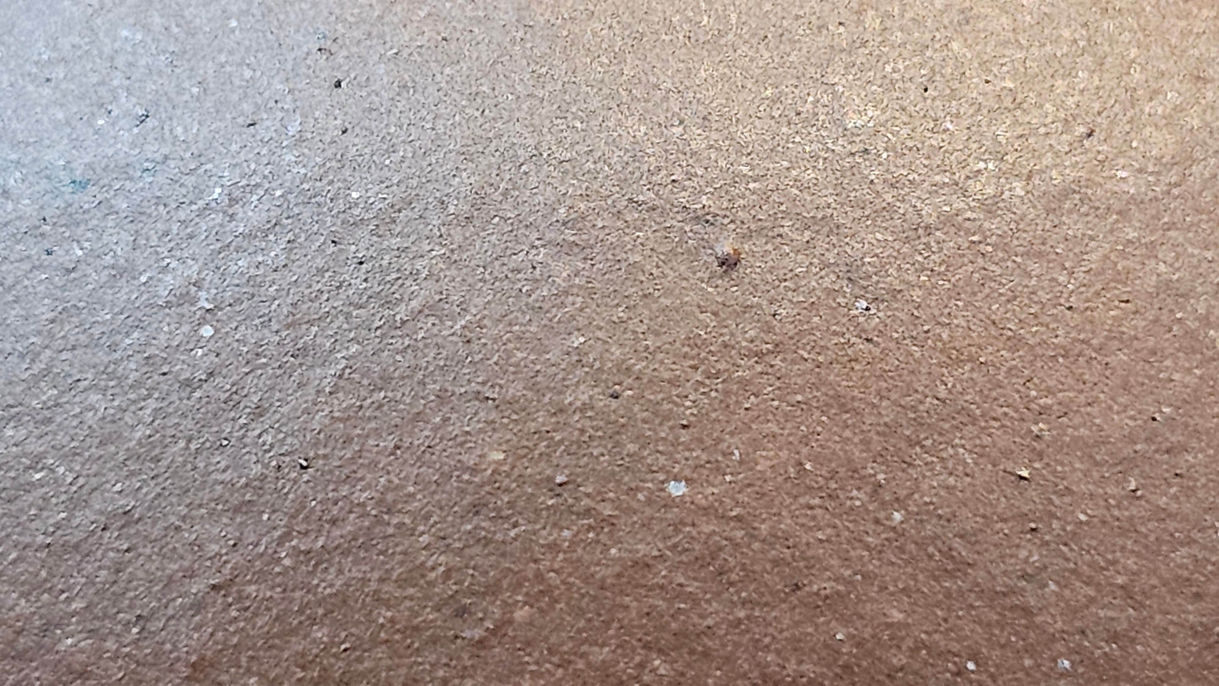 Xi Shi 西施, 165.3ml, Di Cao Qing Zi Ni 底槽青紫泥, by Craftsman Gu Xiao Ming 顾小明 ~ !Congratulations to Mr T.F., 0914hrs 12th July 2025, Statesville, NC!