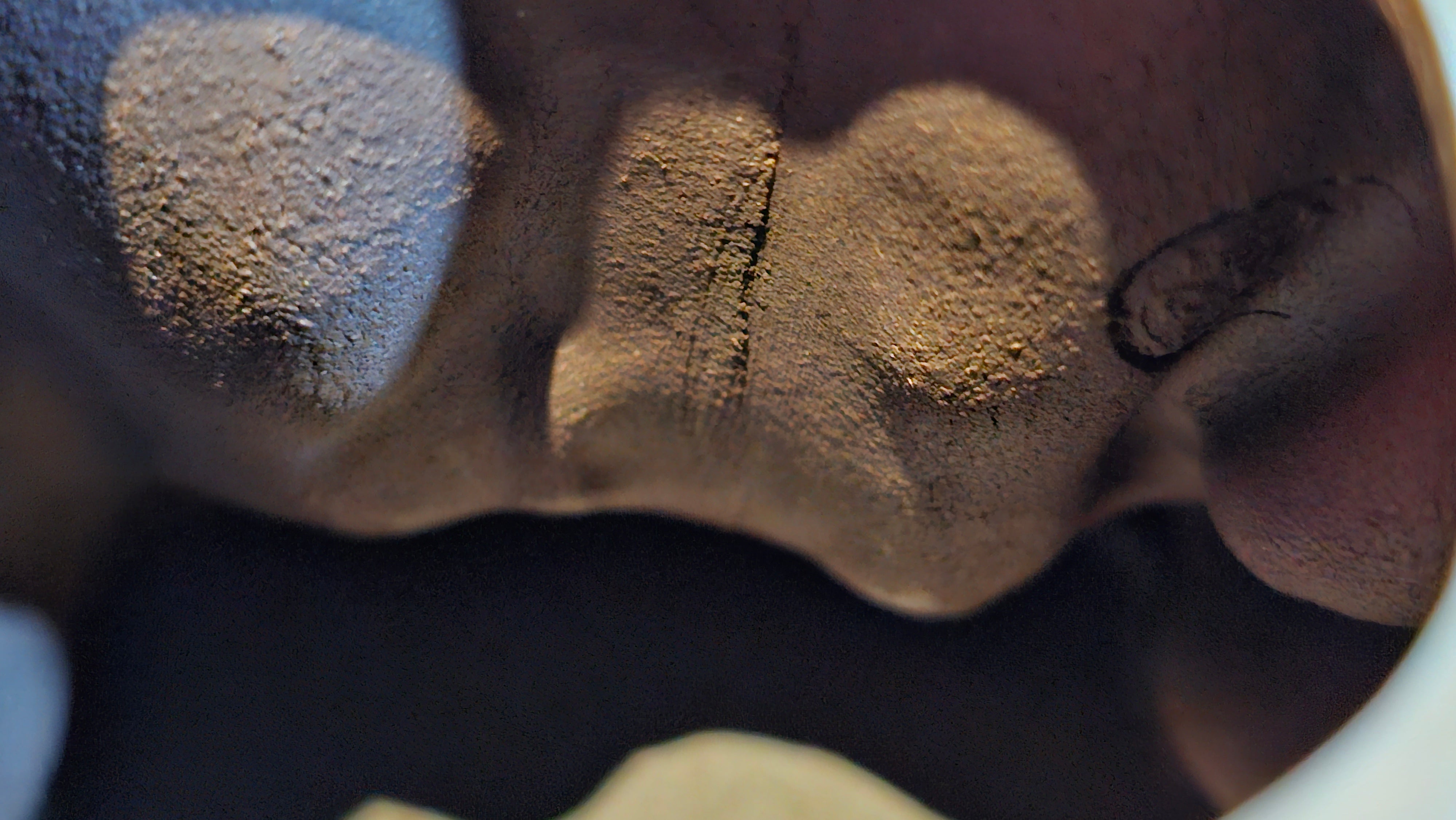 Commissioned work for Patron Mr Engel accomplished: Assoc Master 张雪磊 Zhang Xue Lei crafting the World Debut Ornate ZiSha Work Taking After The "Methuselah" Bristlecone Pine of North America. ~ Part 2 ~ 173 photos.