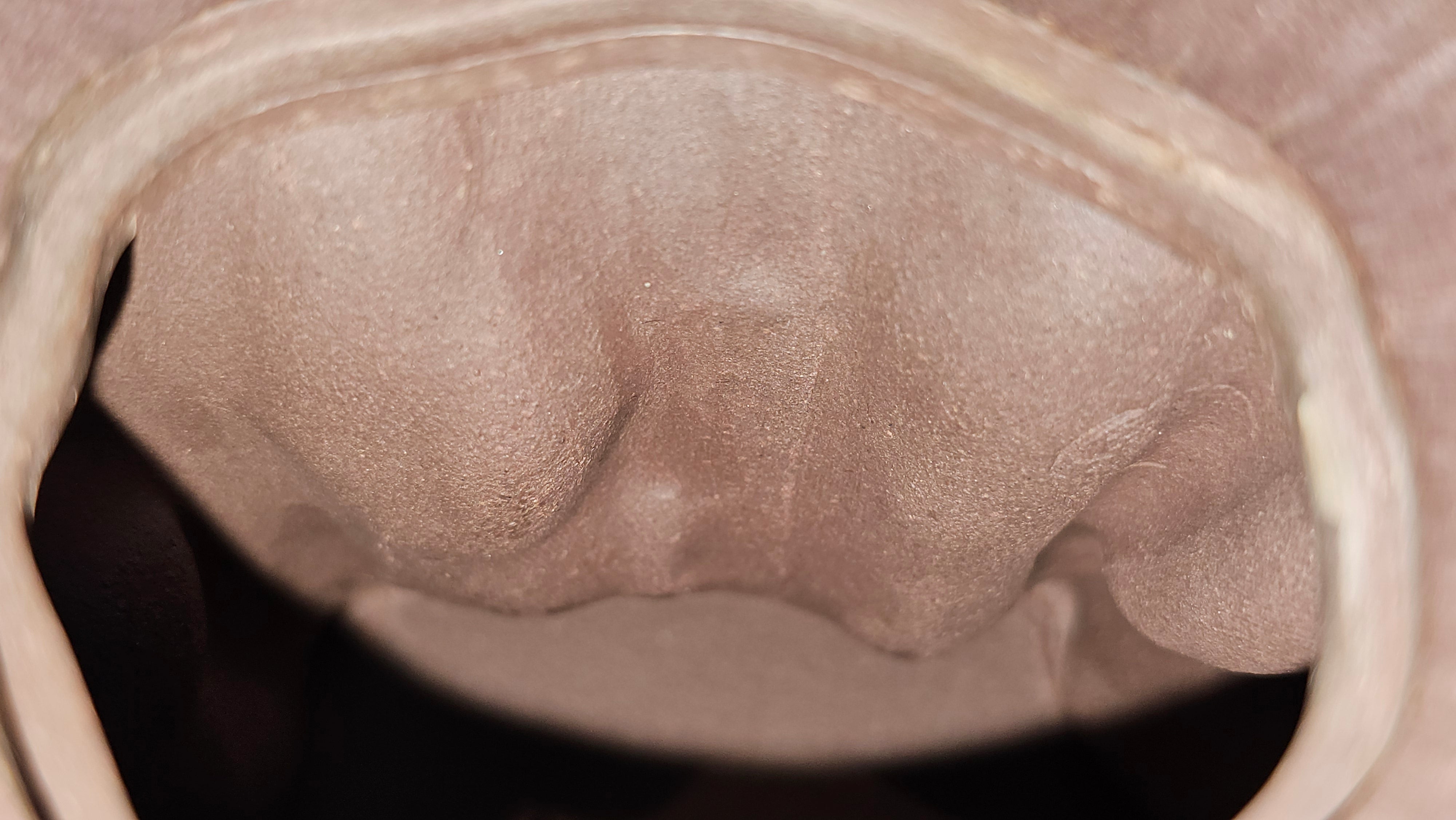 Commissioned work for Patron Mr Engel accomplished: Assoc Master 张雪磊 Zhang Xue Lei crafting the World Debut Ornate ZiSha Work Taking After The "Methuselah" Bristlecone Pine of North America. ~ Part 2 ~ 173 photos.