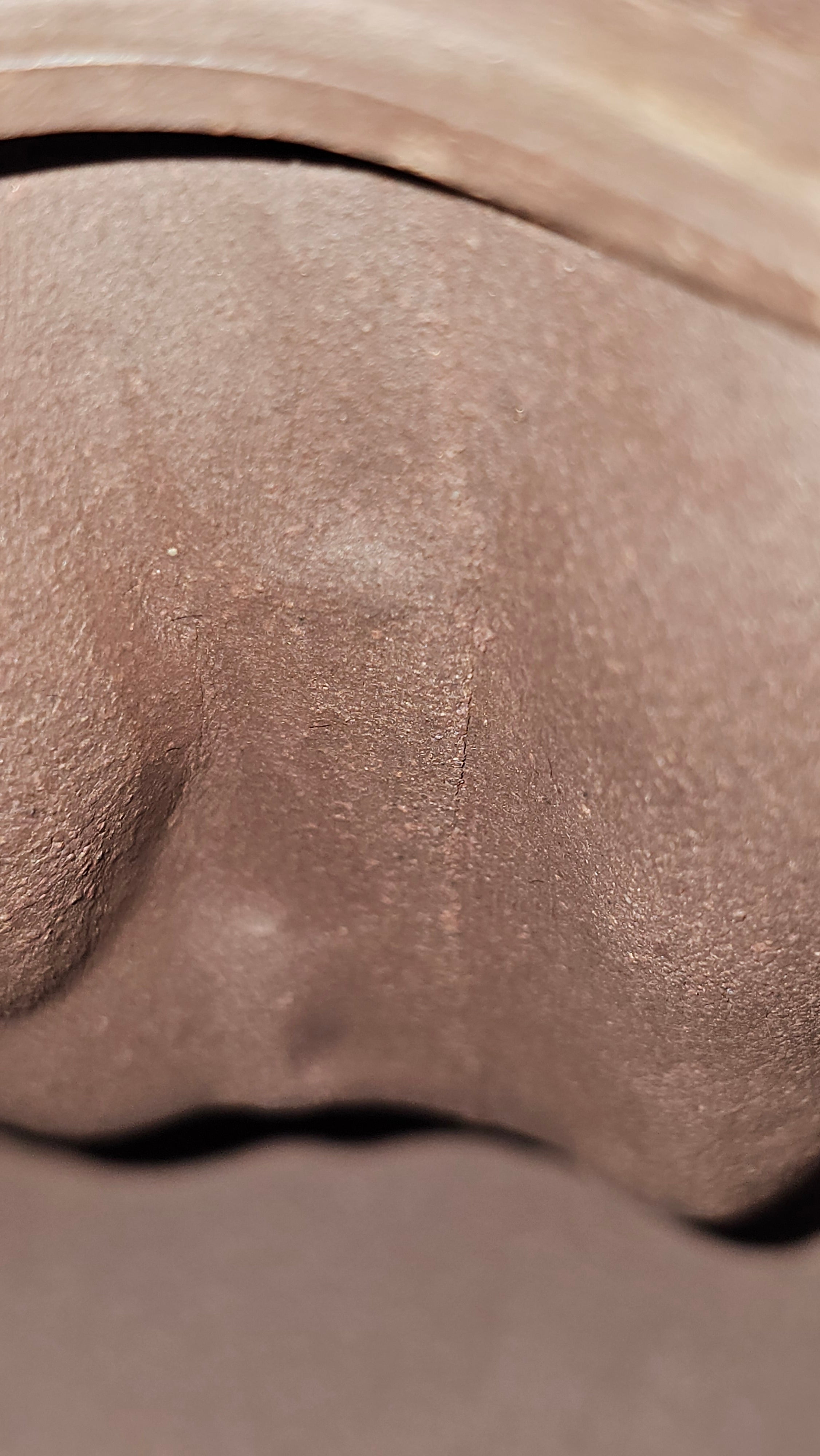 Commissioned work for Patron Mr Engel accomplished: Assoc Master 张雪磊 Zhang Xue Lei crafting the World Debut Ornate ZiSha Work Taking After The "Methuselah" Bristlecone Pine of North America. ~ Part 2 ~ 173 photos.