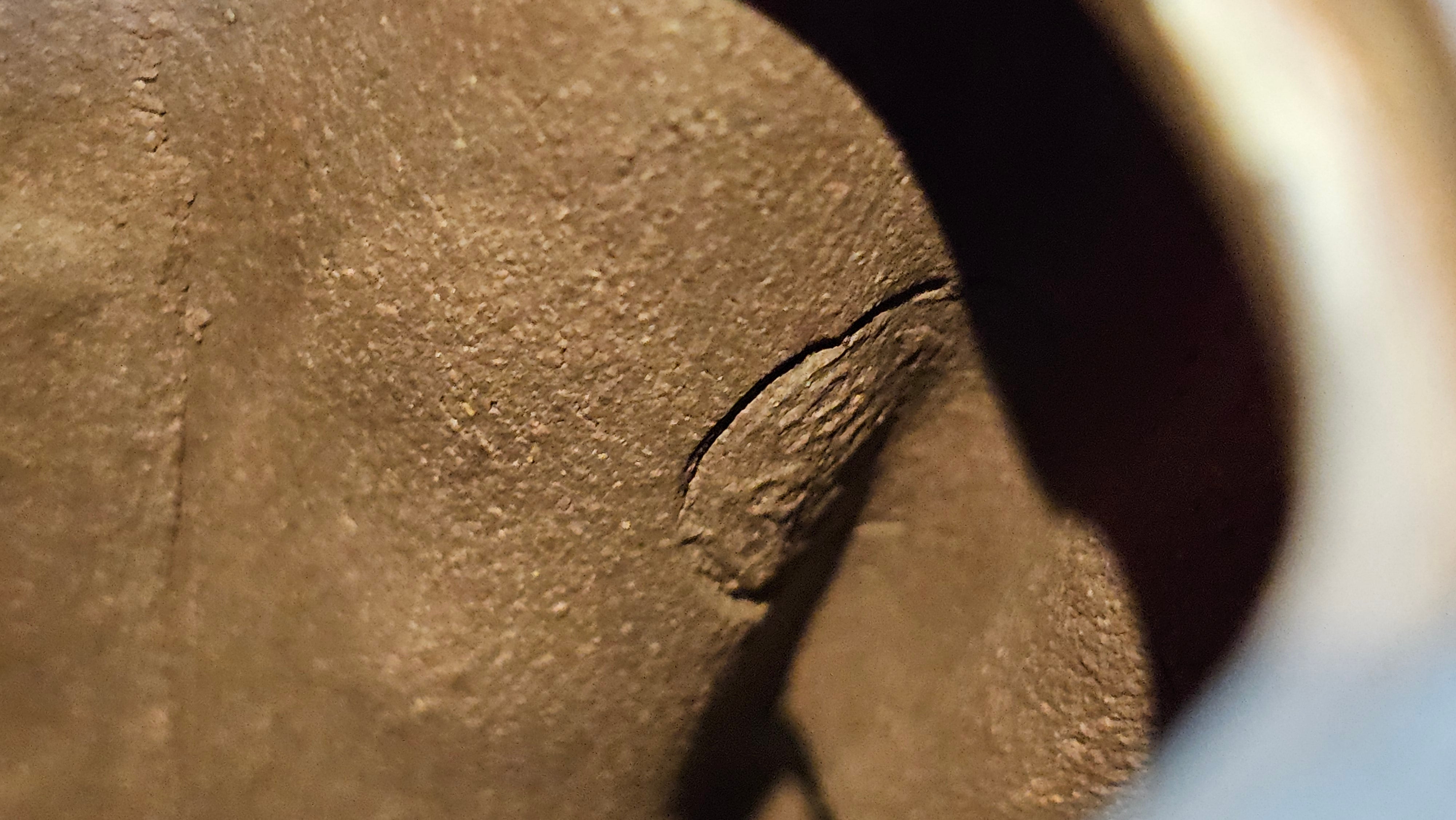 Commissioned work for Patron Mr Engel accomplished: Assoc Master 张雪磊 Zhang Xue Lei crafting the World Debut Ornate ZiSha Work Taking After The "Methuselah" Bristlecone Pine of North America. ~ Part 2 ~ 173 photos.