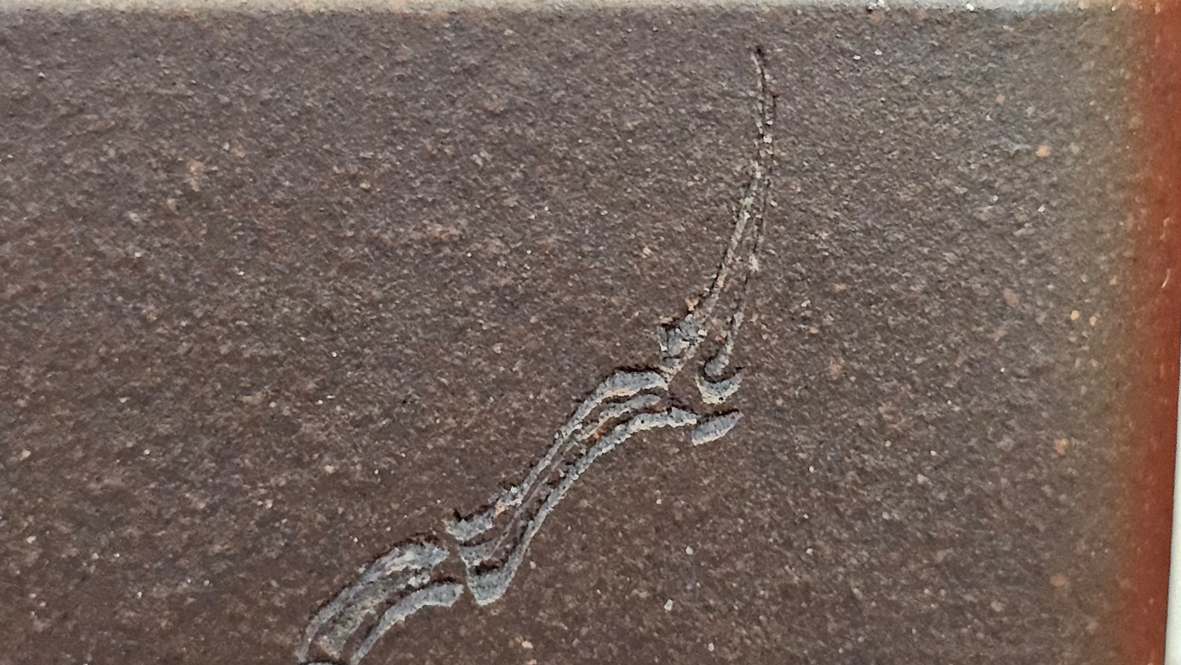 《静远四方》"Jing Yuan Si Fang ~ Stillness, expansive in Four Directions", 161.8ml, "卓而不群" and Lotus Flower Engraving, Di Cao Qing Zi Ni 底槽青紫泥, by L2A Senior Consummate Artist Yuan Hui 袁辉 ~ Congratulations!to Ms A.C., 0918hrs 12th July 2025, Santa Clara, CA!