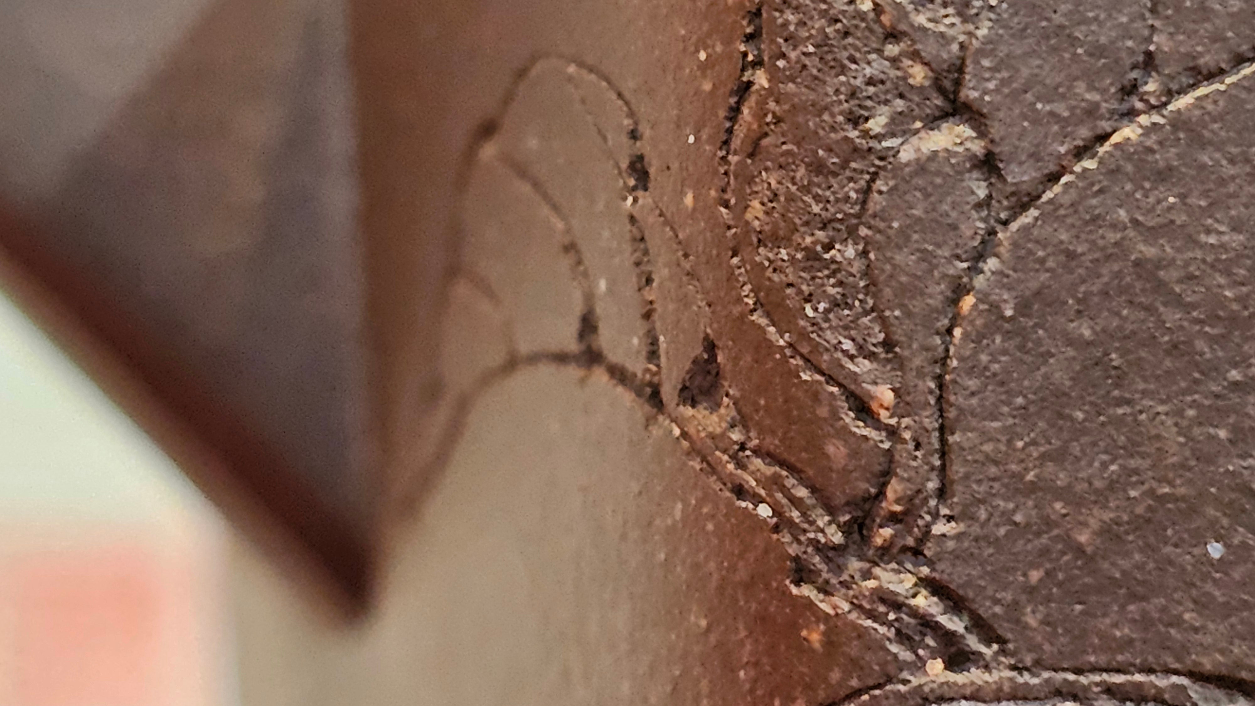 《静远四方》"Jing Yuan Si Fang ~ Stillness, expansive in Four Directions", 161.8ml, "卓而不群" and Lotus Flower Engraving, Di Cao Qing Zi Ni 底槽青紫泥, by L2A Senior Consummate Artist Yuan Hui 袁辉 ~ Congratulations!to Ms A.C., 0918hrs 12th July 2025, Santa Clara, CA!