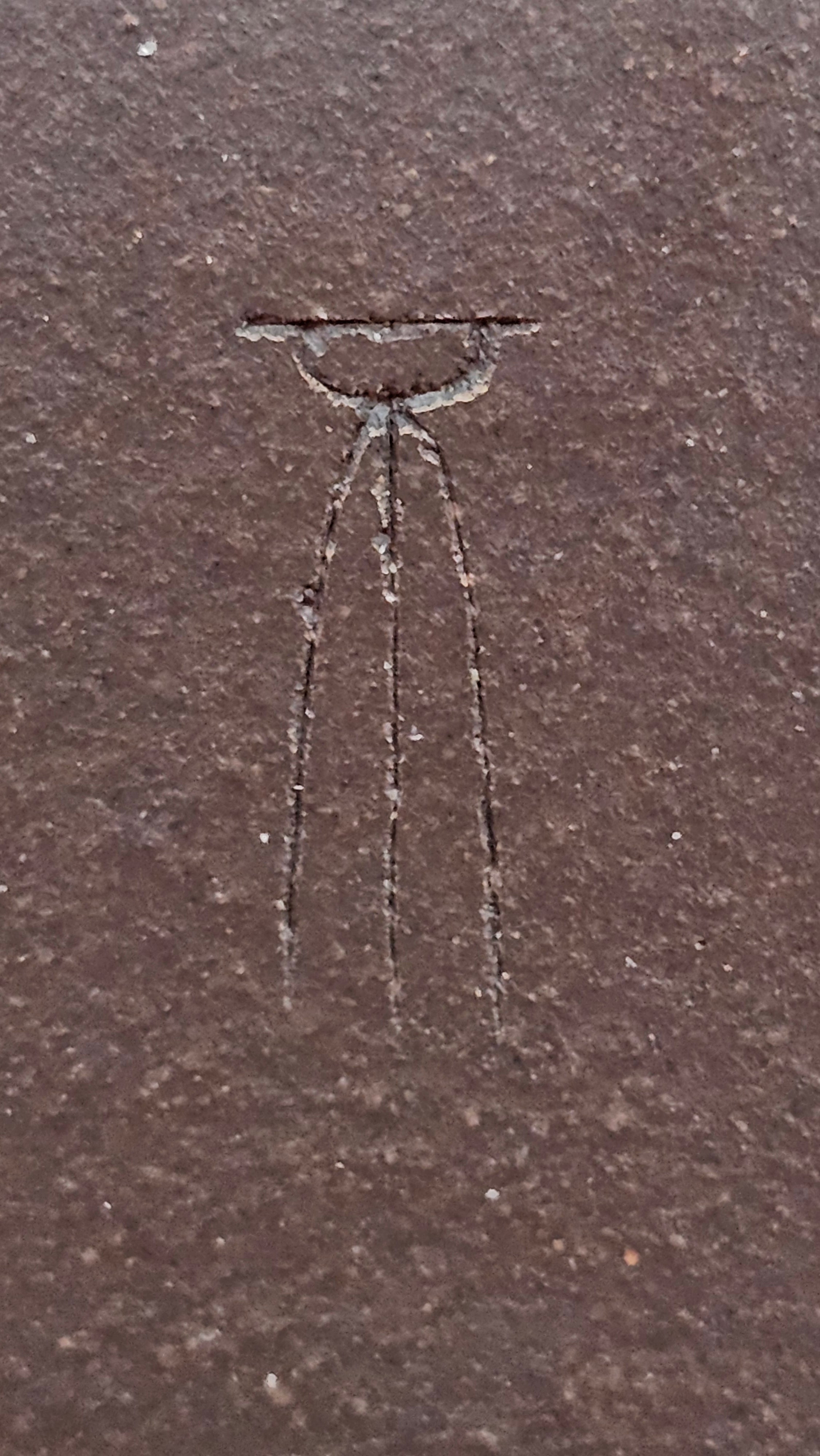 《静远四方》"Jing Yuan Si Fang ~ Stillness, expansive in Four Directions", 161.8ml, "卓而不群" and Lotus Flower Engraving, Di Cao Qing Zi Ni 底槽青紫泥, by L2A Senior Consummate Artist Yuan Hui 袁辉 ~ Congratulations!to Ms A.C., 0918hrs 12th July 2025, Santa Clara, CA!