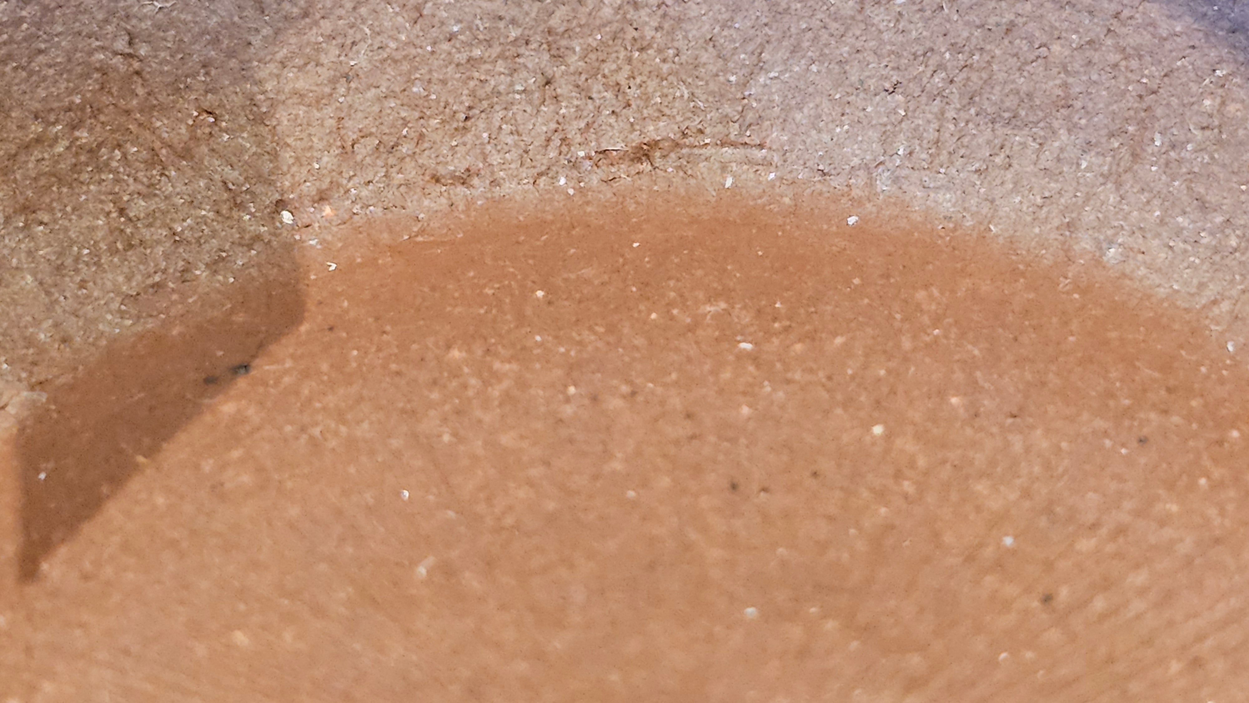 《杯》"Bei" ~ Cup, 104.6ml (when full), Di Cao Qing Zi Ni 底槽青紫泥 ~ Crafted by L3A Consummate Master Artist Li Yan Ru 李艳如 ~ Congratulations to Ms M.!!!, 0412hrs 12th July 2025, Phoenix, AZ.