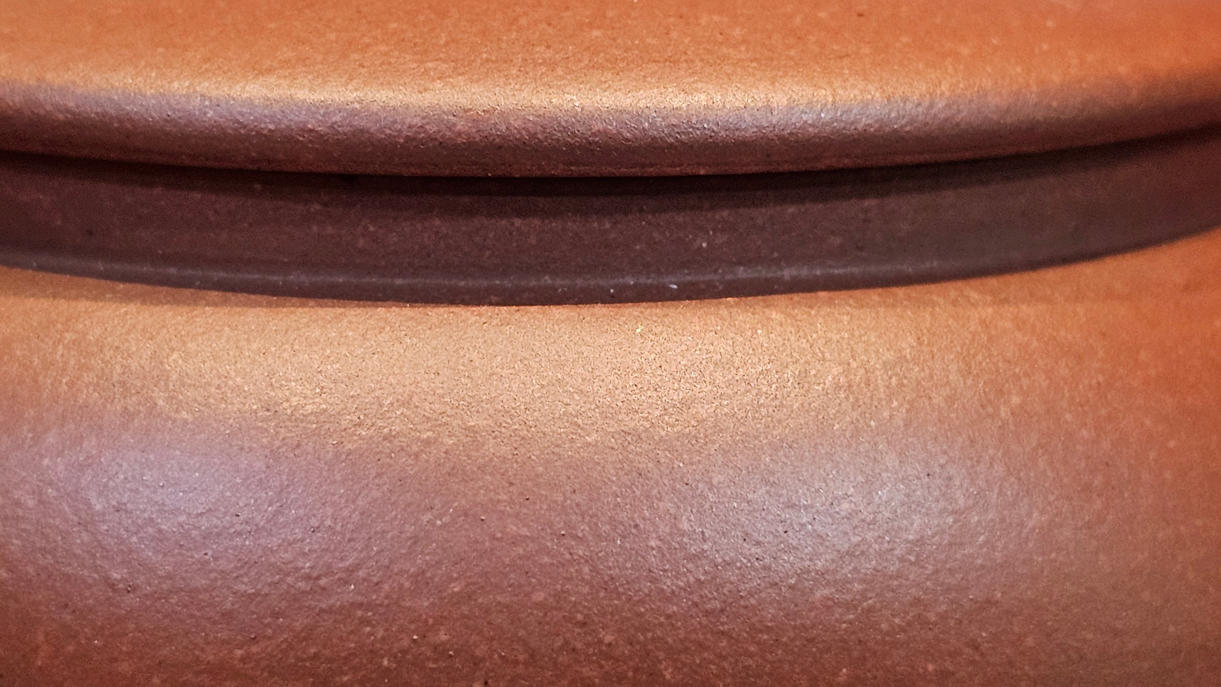 《龙吟》"Lo'ong Yin ~ Lo'ong's/Dragon's Roar", 190.8ml, Di Cao Qing Zi Ni 底槽青紫泥 ~ Crafted by L3A Consummate Master Artist Li Yan Ru 李艳如 ~ Congratulations to Ms M.L.!, 1518hrs 14th July 2025, Phoenix, AZ!