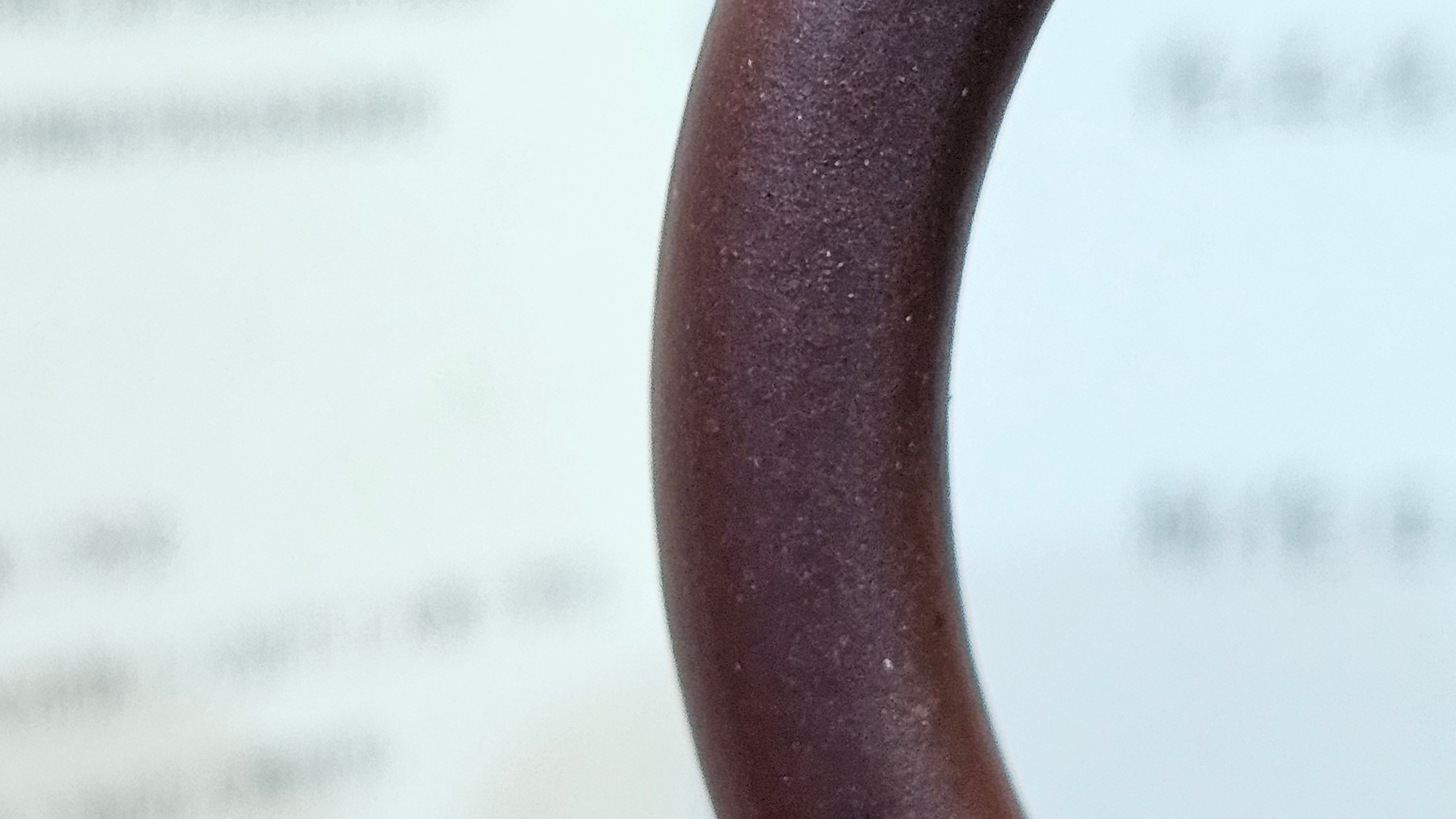 《玉珠》"Yu Zhu ~ A Bead of Jade", 247.6ml (largish), Lao Zi Ni 老紫泥 ~ Crafted by L3A Consummate Master Artist Li Yan Ru 李艳如 ~ Congratulations, to Mr A.R., 1034hrs 17th July 2025, Talent, OR!!