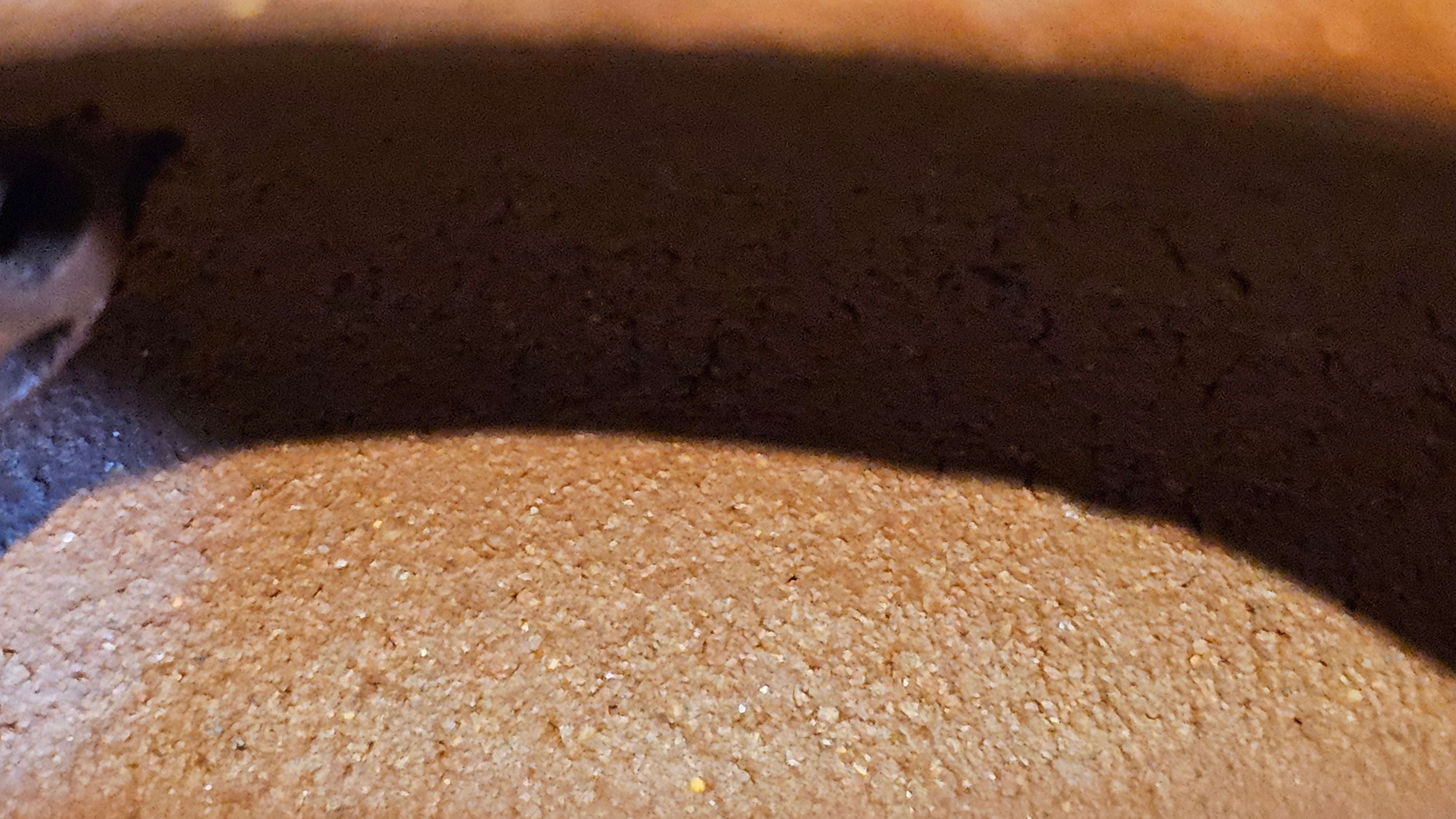 Duo Zhi 掇只, 209.6ml, Di Cao Qing Zi Ni 底槽青紫泥, by our Collaborative Craftsman Chen Fa Chu 陈法初 ~ Congratulations!to Mr V.L.! 1240hrs 15th August 2025, Vellenhove, The Netherlands🇳🇱!