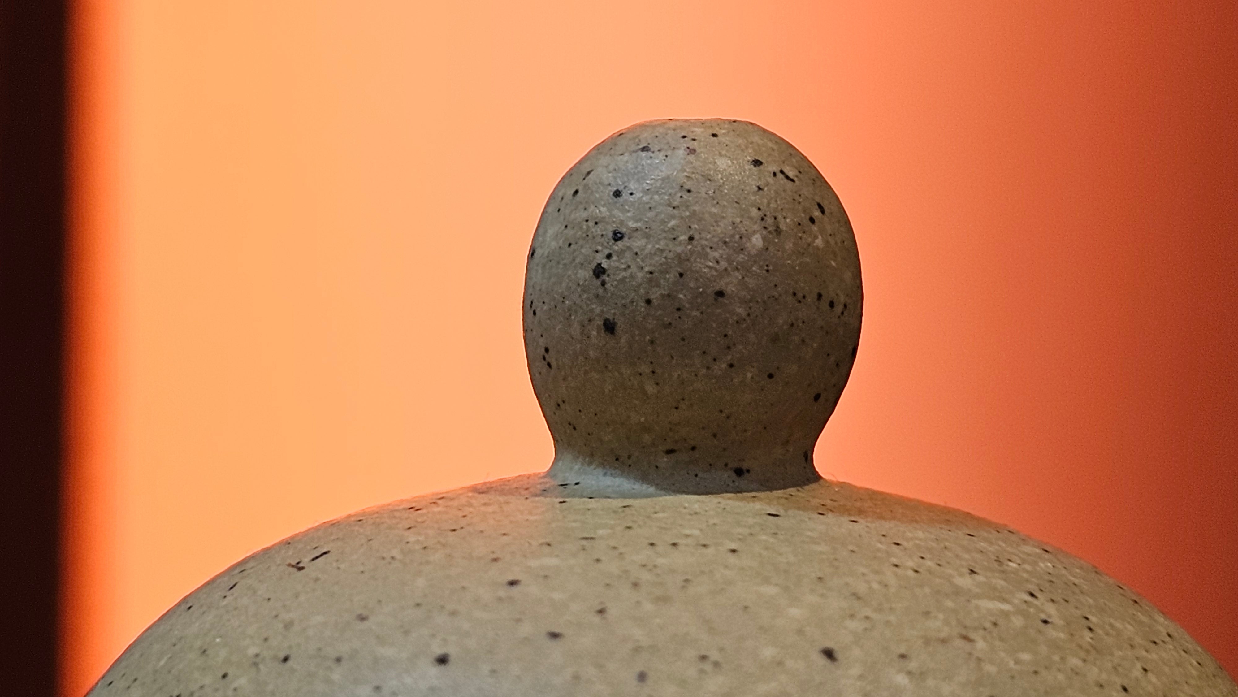 Si Ting 思亭, 198.3ml, Zhi Ma Duan Ni 芝麻段泥, by Craftsman Gu Xiao Ming 顾小明 ~ Congratulations!to Mr J.L! 1006hrs 25th July 2025, Dacula, GA!