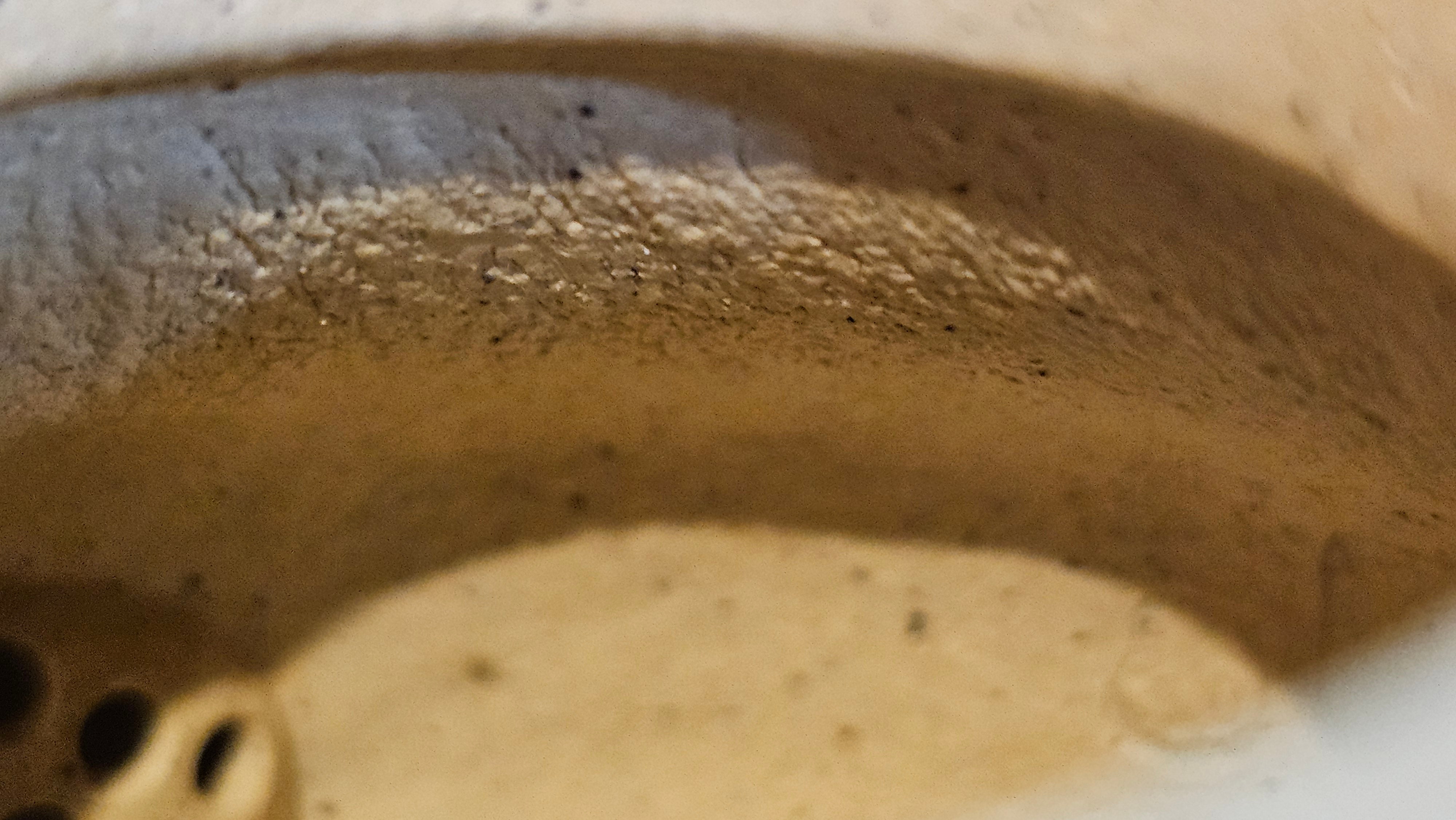 Si Ting 思亭, 198.3ml, Zhi Ma Duan Ni 芝麻段泥, by Craftsman Gu Xiao Ming 顾小明 ~ Congratulations!to Mr J.L! 1006hrs 25th July 2025, Dacula, GA!