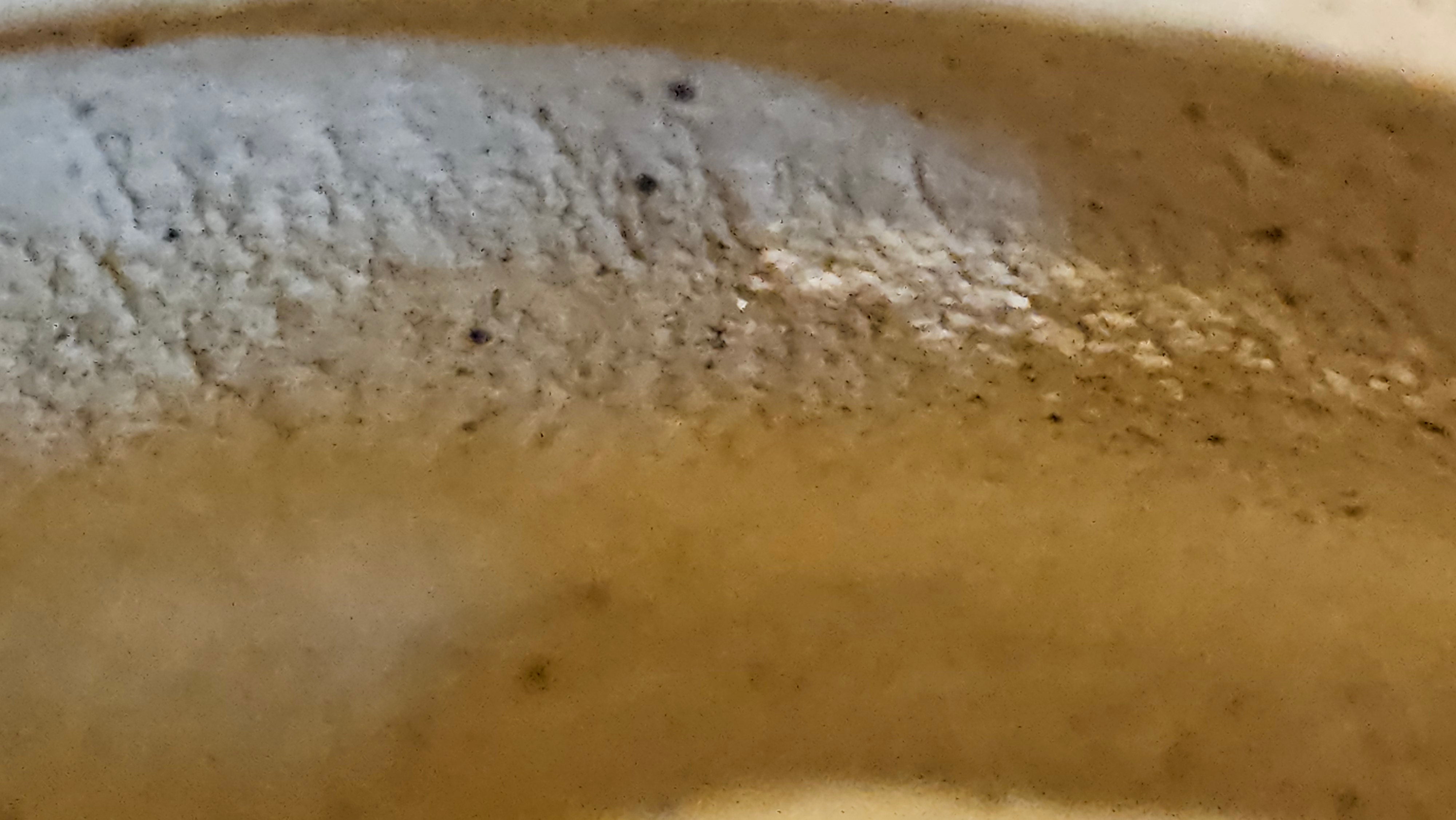 Si Ting 思亭, 198.3ml, Zhi Ma Duan Ni 芝麻段泥, by Craftsman Gu Xiao Ming 顾小明 ~ Congratulations!to Mr J.L! 1006hrs 25th July 2025, Dacula, GA!