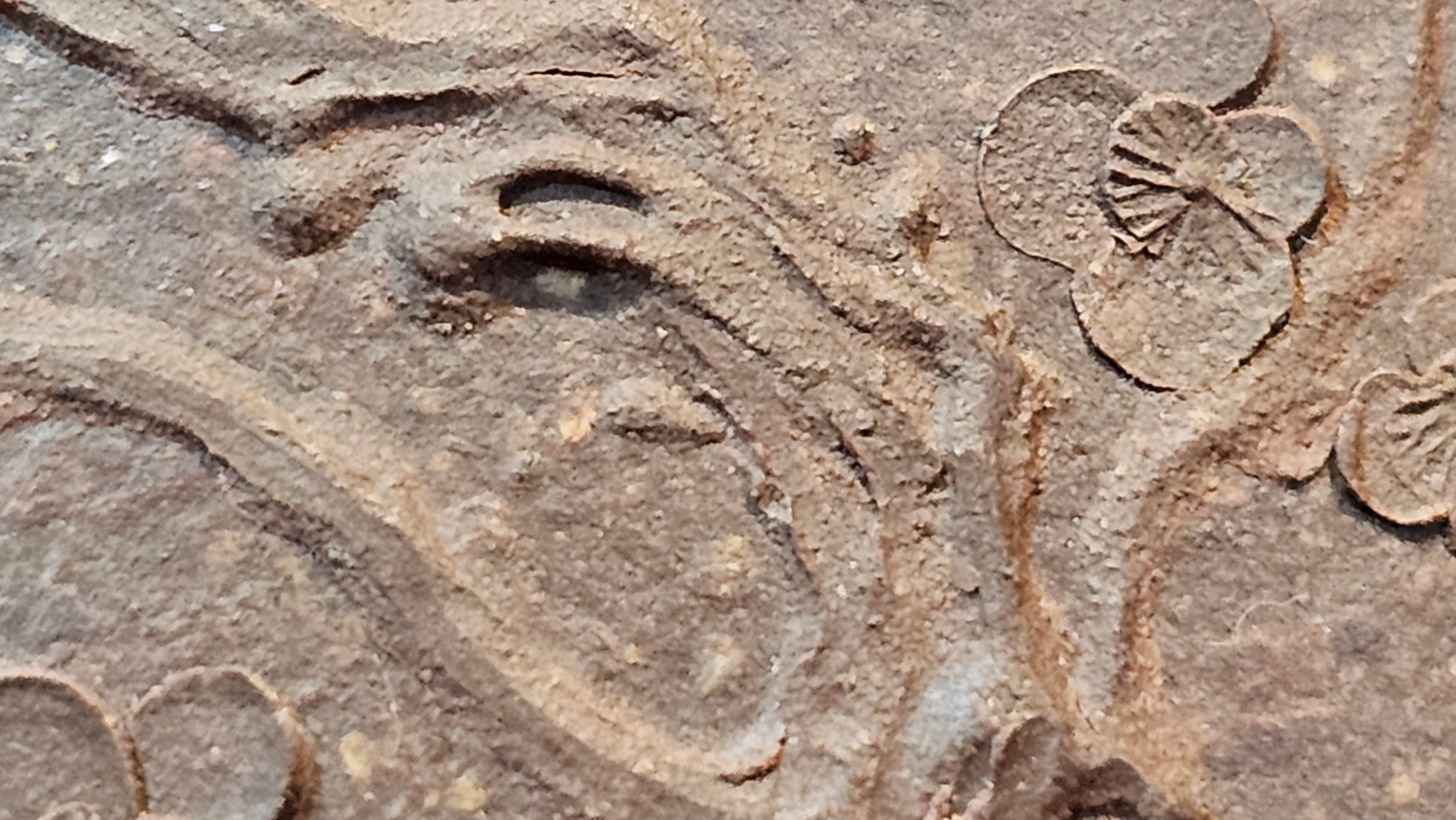 Shi Piao 石瓢 (Zi Ye Shi Piao), 191.1ml, Craftsman Yun Shen 云深 performing *EXQUISITE WHOLE-BODY Clay Sculpting 泥绘 of Plum Blossoms 梅花*, pot by Craftsman Chen Huan 陈欢; Lao Zi Ni 老紫泥 ~ Congratulations to Mr C.L.! 2046hrs 26th August 2025, Chicago! IL!