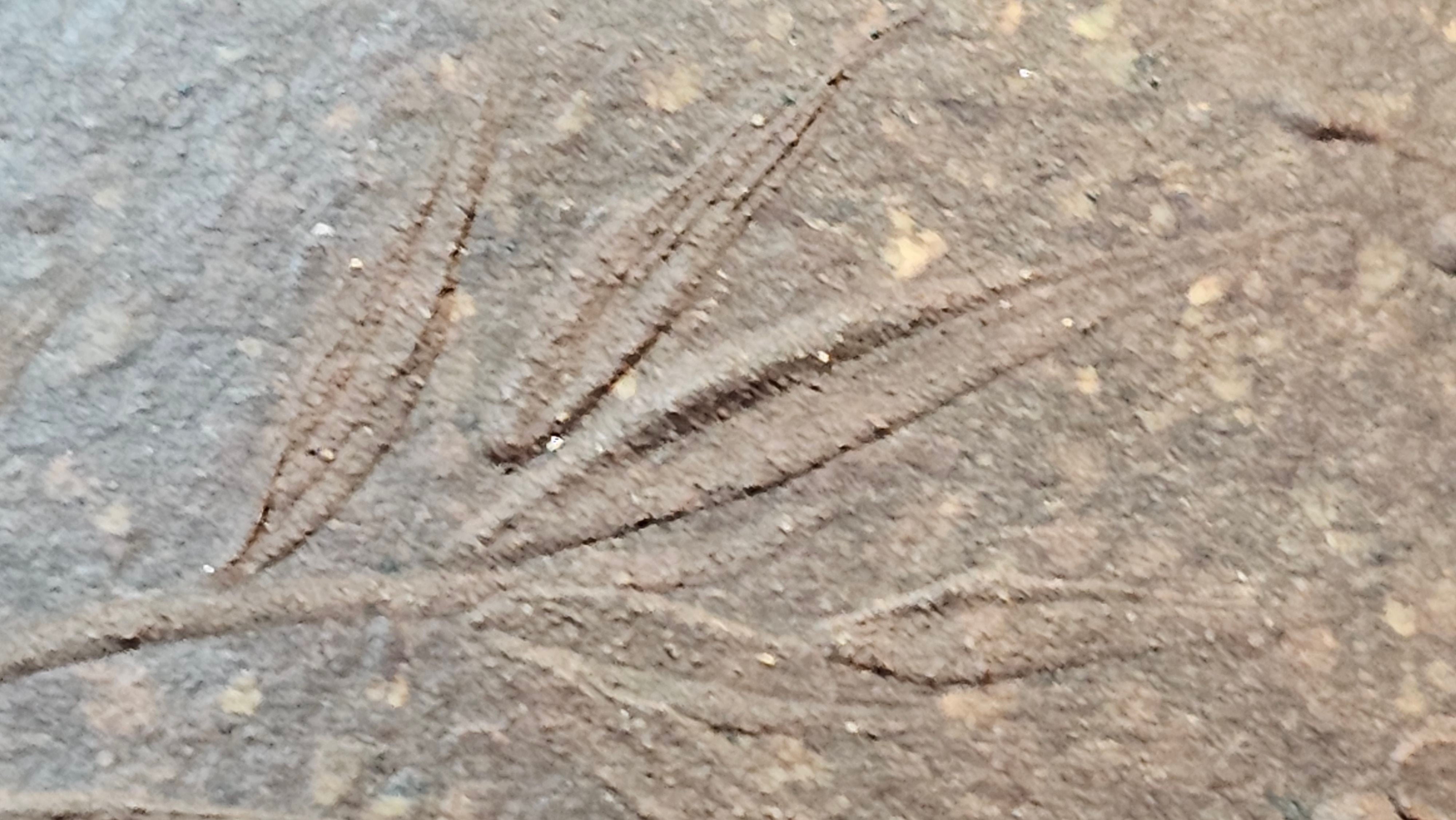 Shi Piao 石瓢 (Zi Ye Shi Piao), 191.1ml, Craftsman Yun Shen 云深 performing *EXQUISITE WHOLE-BODY Clay Sculpting 泥绘 of Plum Blossoms 梅花*, pot by Craftsman Chen Huan 陈欢; Lao Zi Ni 老紫泥 ~ Congratulations to Mr C.L.! 2046hrs 26th August 2025, Chicago! IL!