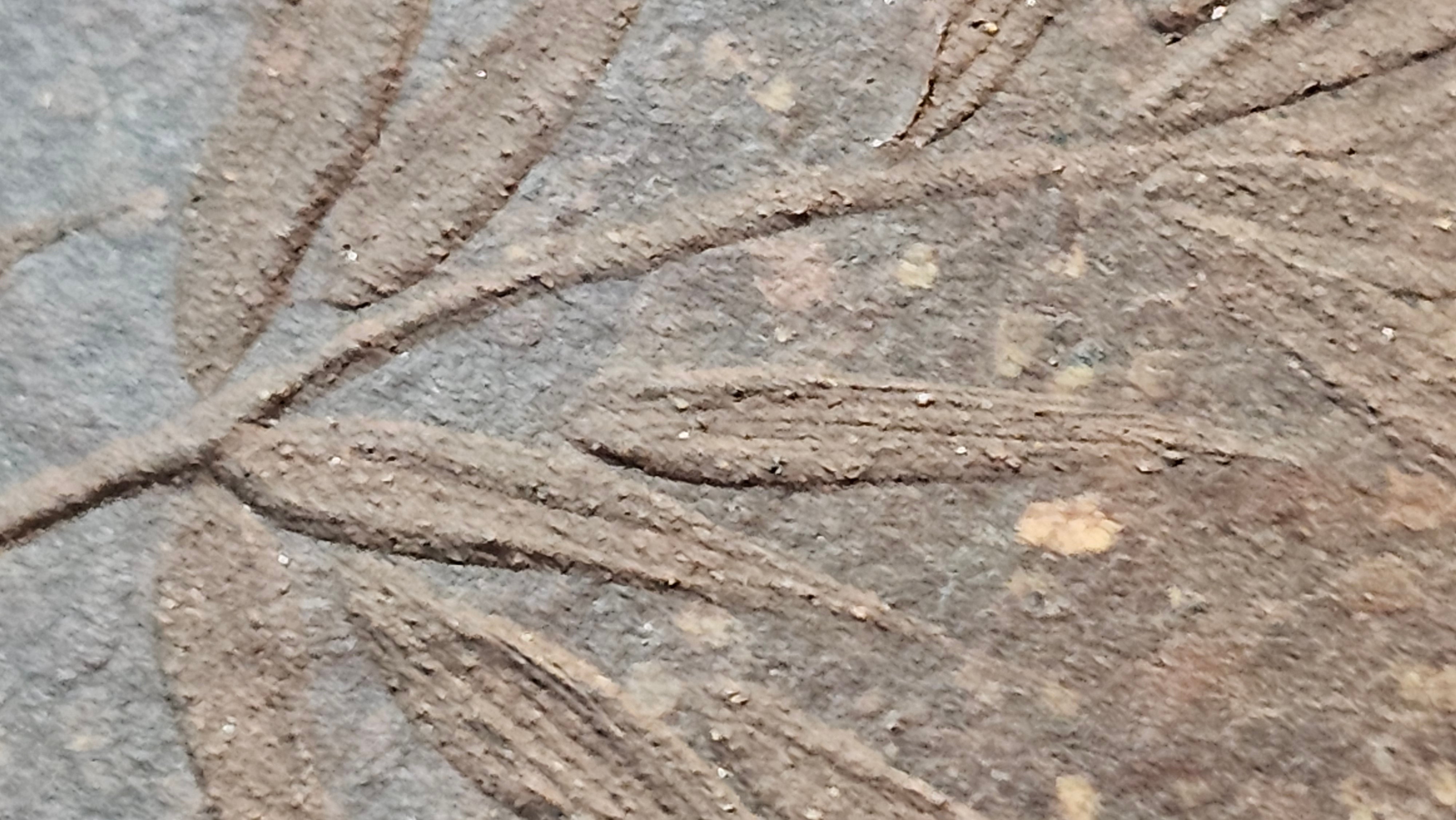 Shi Piao 石瓢 (Zi Ye Shi Piao), 191.1ml, Craftsman Yun Shen 云深 performing *EXQUISITE WHOLE-BODY Clay Sculpting 泥绘 of Plum Blossoms 梅花*, pot by Craftsman Chen Huan 陈欢; Lao Zi Ni 老紫泥 ~ Congratulations to Mr C.L.! 2046hrs 26th August 2025, Chicago! IL!