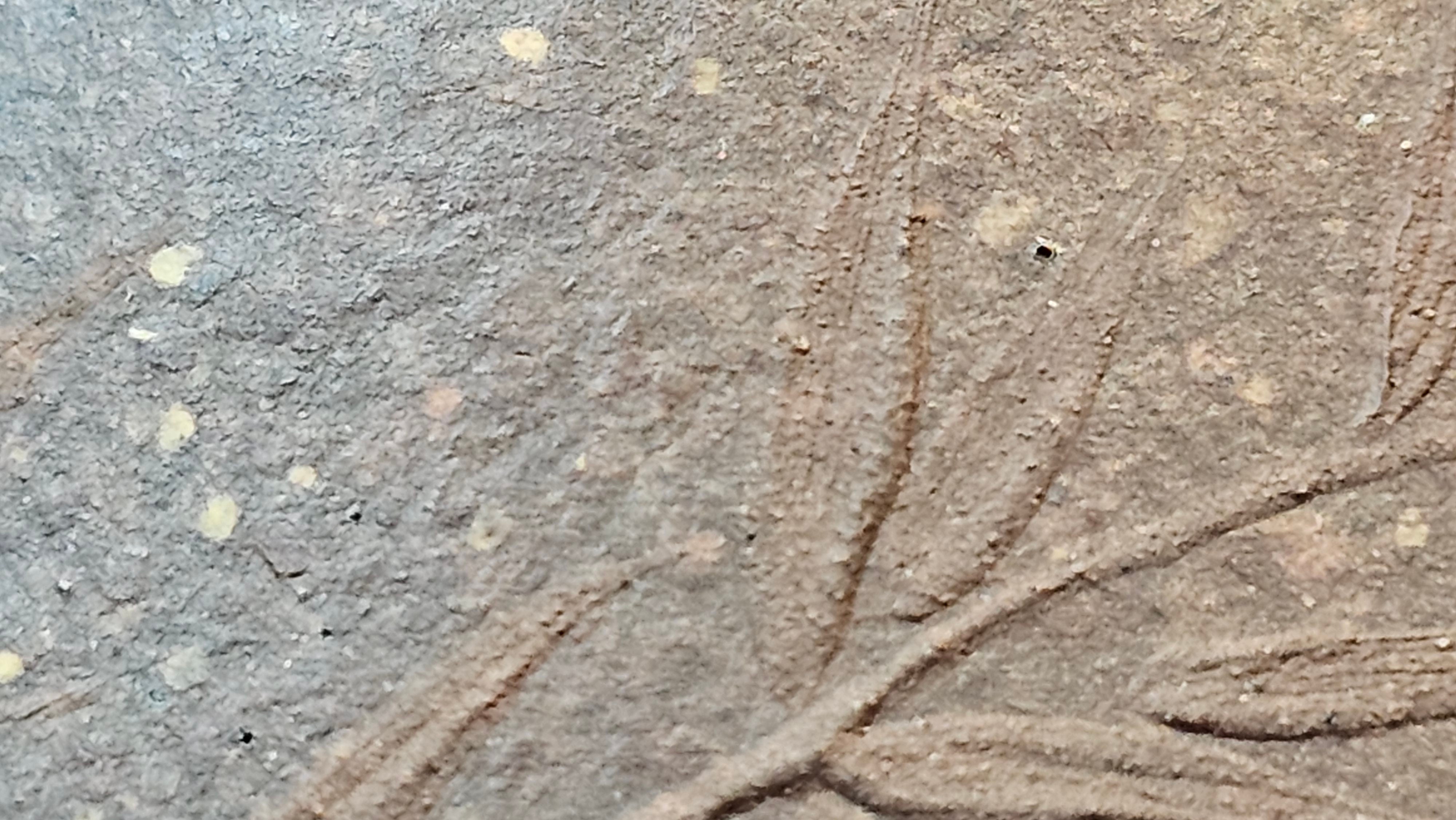 Shi Piao 石瓢 (Zi Ye Shi Piao), 191.1ml, Craftsman Yun Shen 云深 performing *EXQUISITE WHOLE-BODY Clay Sculpting 泥绘 of Plum Blossoms 梅花*, pot by Craftsman Chen Huan 陈欢; Lao Zi Ni 老紫泥 ~ Congratulations to Mr C.L.! 2046hrs 26th August 2025, Chicago! IL!