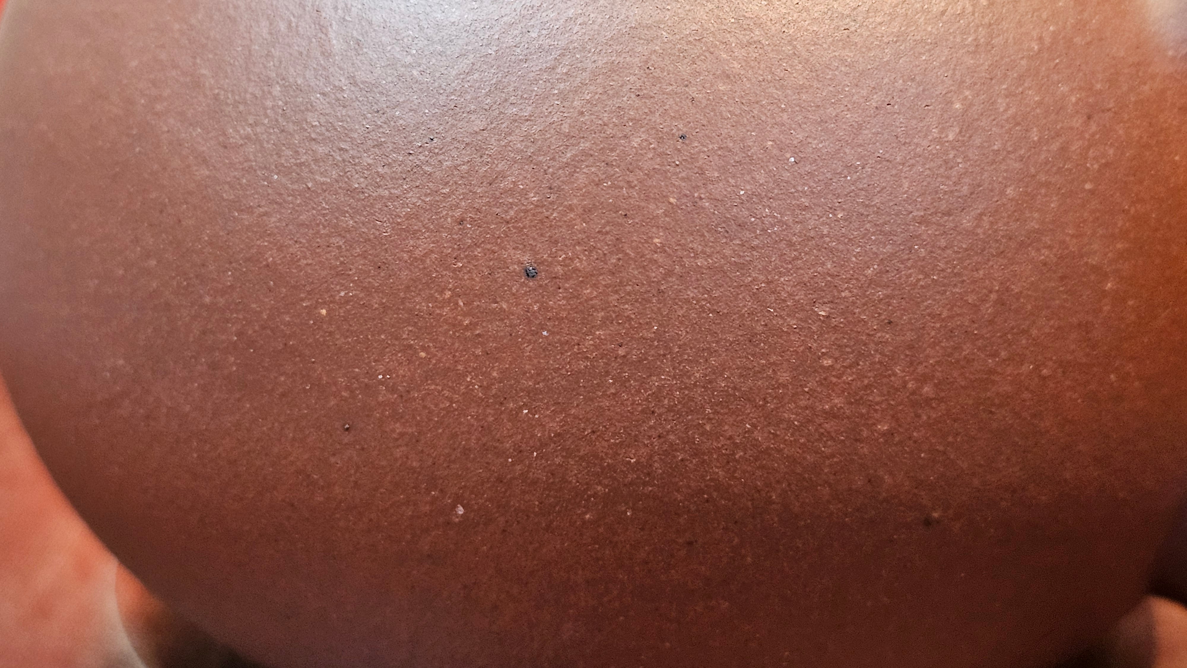 Xi Shi 西施, 209.1ml, Di Cao Qing Zi Ni 底槽青紫泥, by Craftsman Gu Xiao Ming 顾小明 ~ Congratulations to Mr J.L.!!0444hrs 4th August 2025, Dacula, GA.