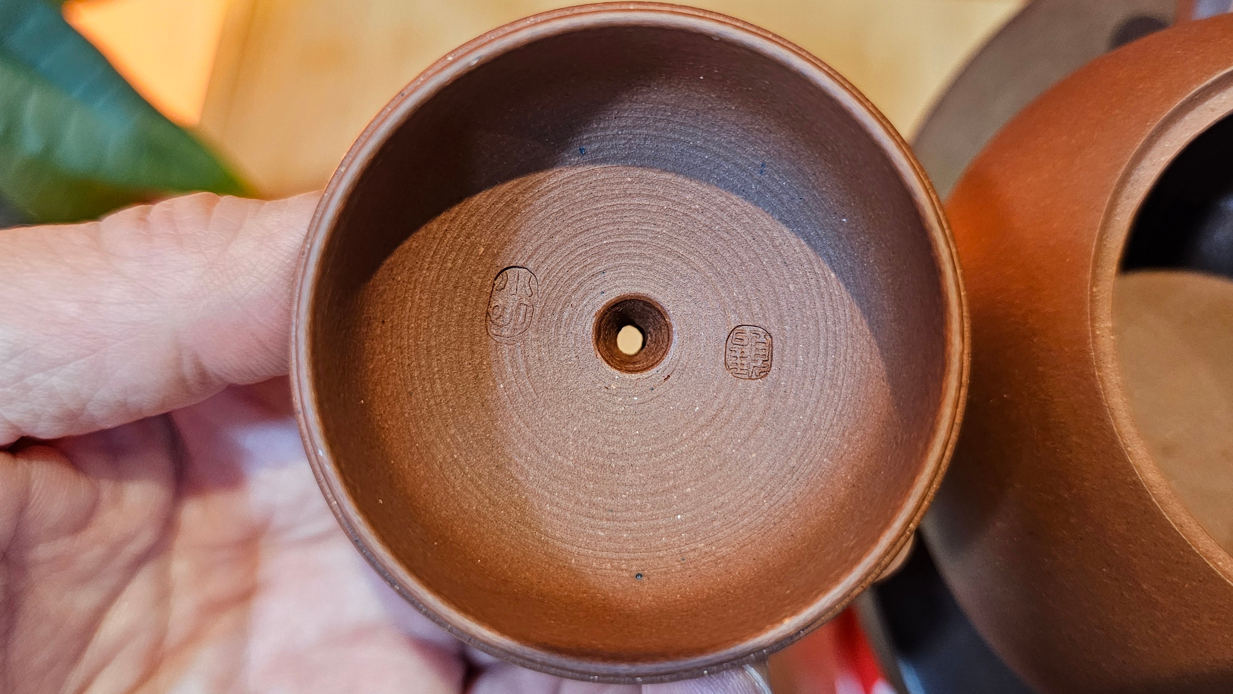 Xi Shi 西施, 209.1ml, Di Cao Qing Zi Ni 底槽青紫泥, by Craftsman Gu Xiao Ming 顾小明 ~ Congratulations to Mr J.L.!!0444hrs 4th August 2025, Dacula, GA.