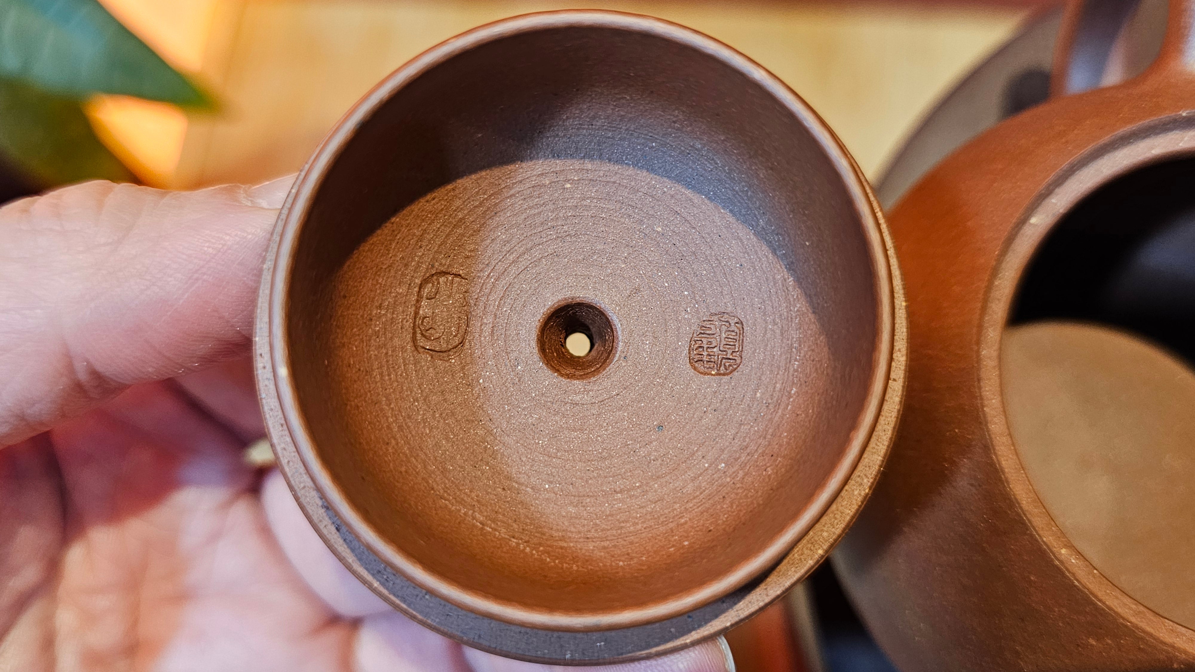 Xi Shi 西施, 167.3ml, Di Cao Qing Zi Ni 底槽青紫泥, by Craftsman Gu Xiao Ming 顾小明 ~ Congratulations to Ms L.K! 1307hrs 1st August 2025, Hamburg! Germany🇩🇪.