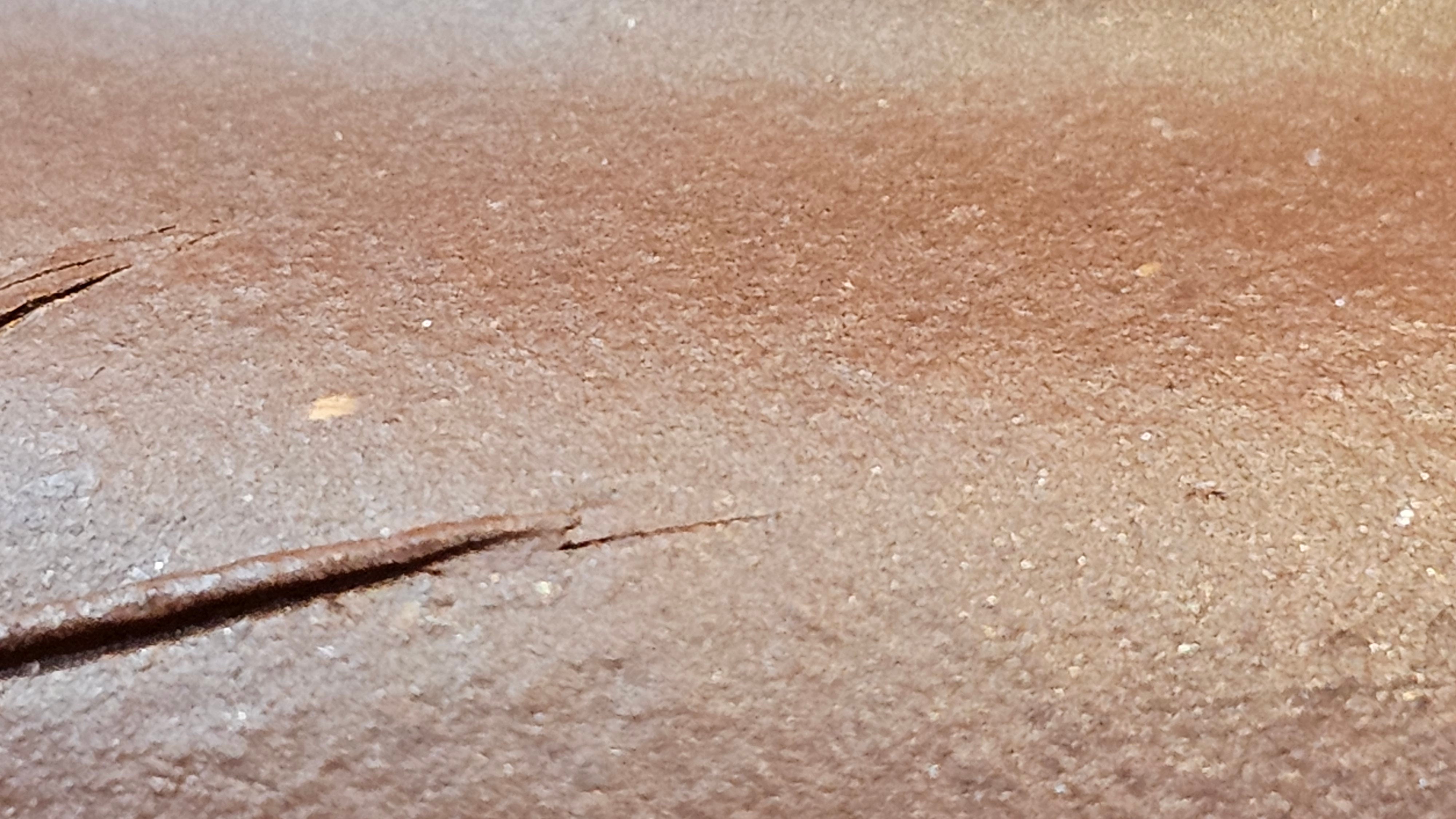 Zhu Bao Chun 竹报春, 229.3ml, Di Cao Qing Zi Ni 底槽青紫泥, by our Collaborative Craftsman Tu Xia Ying 屠暇英 ~ Congratulations to Mr K.F.! 1809hrs 3rd August 2025, Chamblee! GA.