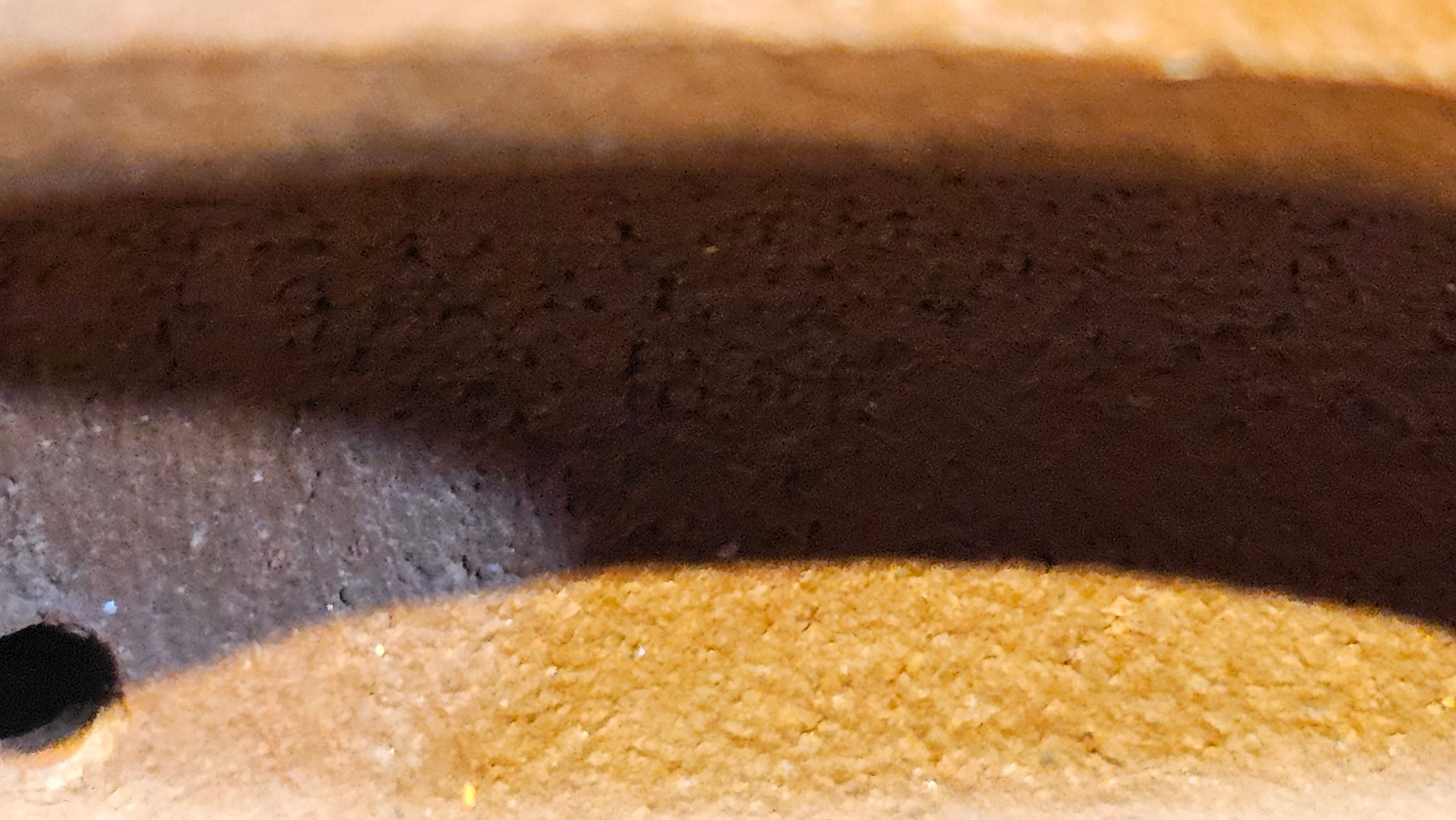 Zhu Bao Chun 竹报春, 229.3ml, Di Cao Qing Zi Ni 底槽青紫泥, by our Collaborative Craftsman Tu Xia Ying 屠暇英 ~ Congratulations to Mr K.F.! 1809hrs 3rd August 2025, Chamblee! GA.