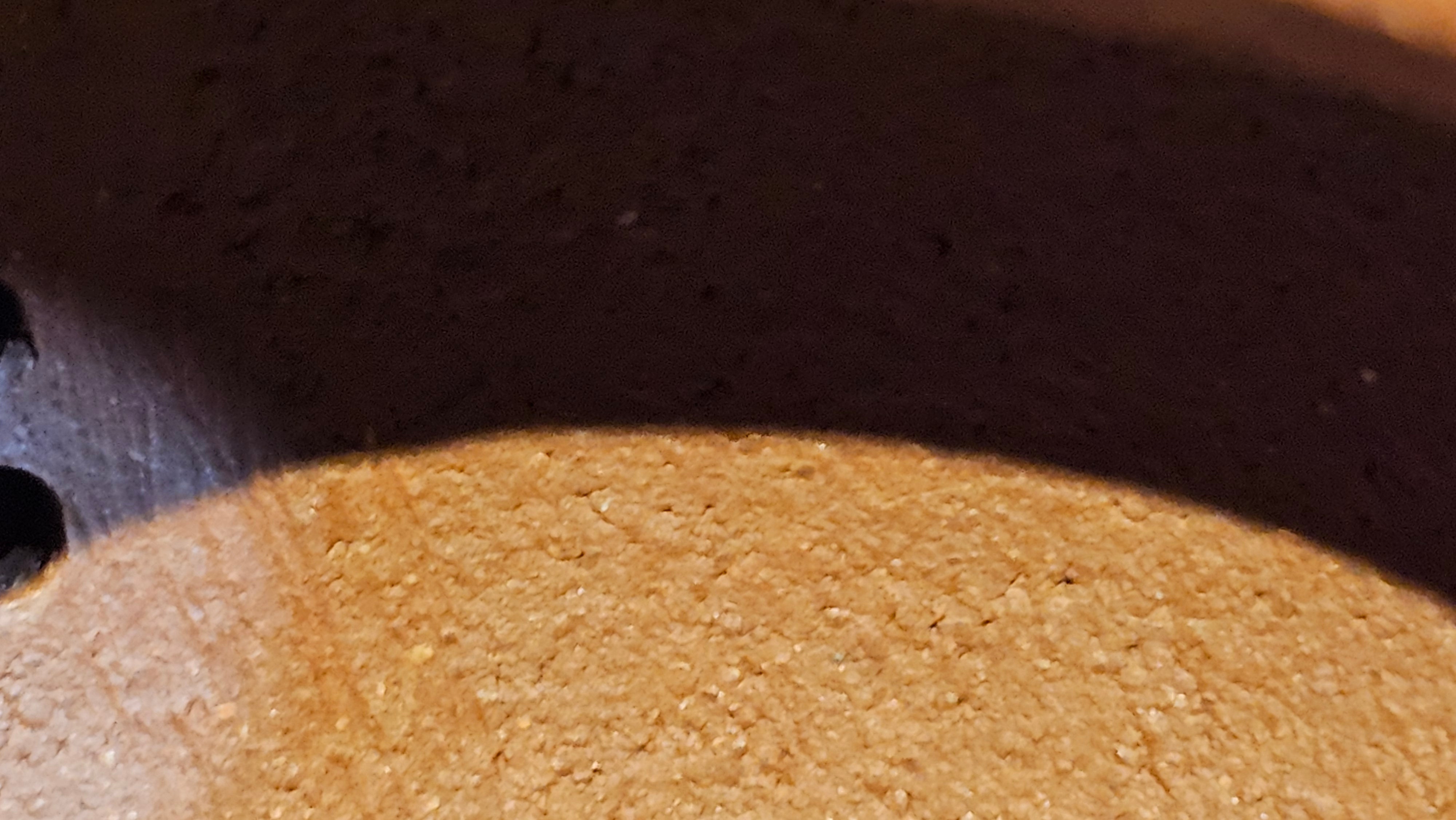 Zhu Bao Chun 竹报春, 229.3ml, Di Cao Qing Zi Ni 底槽青紫泥, by our Collaborative Craftsman Tu Xia Ying 屠暇英 ~ Congratulations to Mr K.F.! 1809hrs 3rd August 2025, Chamblee! GA.