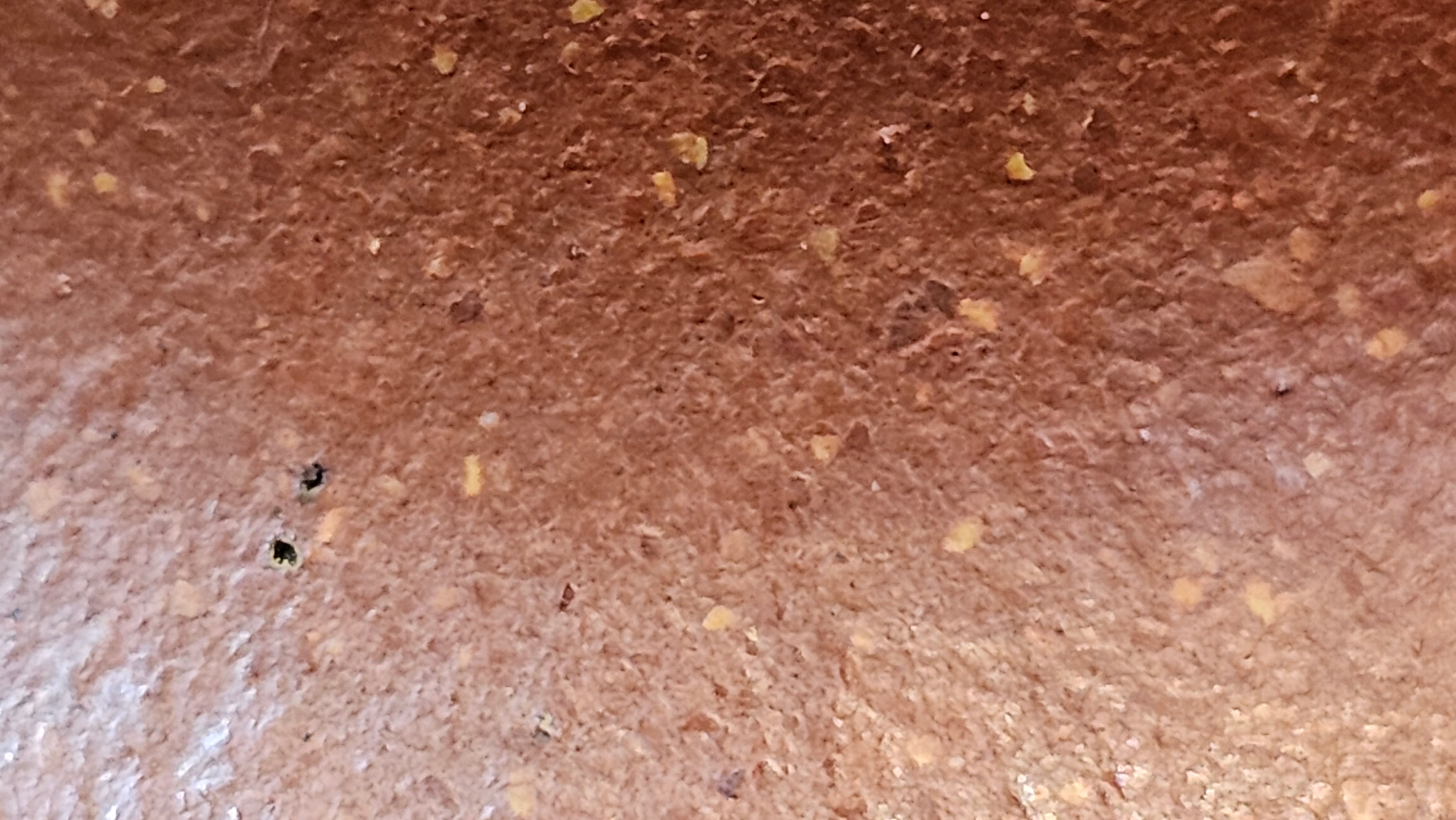 Jun De 君德, 193.7ml, Hong Jiang Po Ni 红降坡泥, by Craftsman Chen Gui Zhi 陈桂枝。(Red JiangPoNi is rarer than Yellow JiangPoNi, XiaoMeiYao ZhuNi & ZhaoZhuang ZhuNi)~Congratulations!to Mr E.W.! 1127hrs 19th Sept 2025, Berkeley, CA.