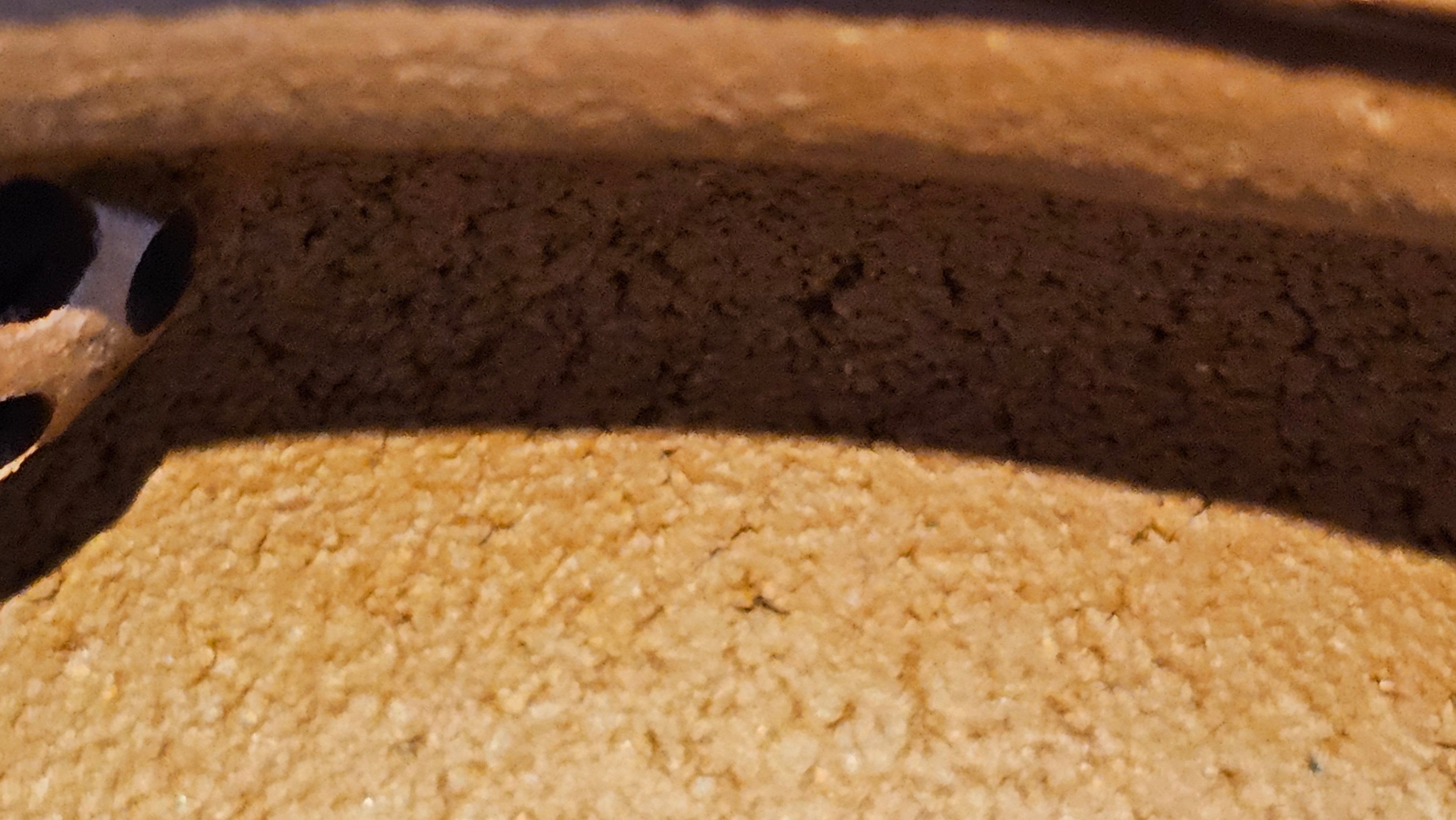 Fang Gu 仿古, 275.3ml, Di Cao Qing Zi Ni 底槽青紫泥, by our Collaborative Craftsman Chen Fa Chu 陈法初 ~ Congratulations!to Mr I.B.! 0256hrs 9th August 2025, Vienna, VA!