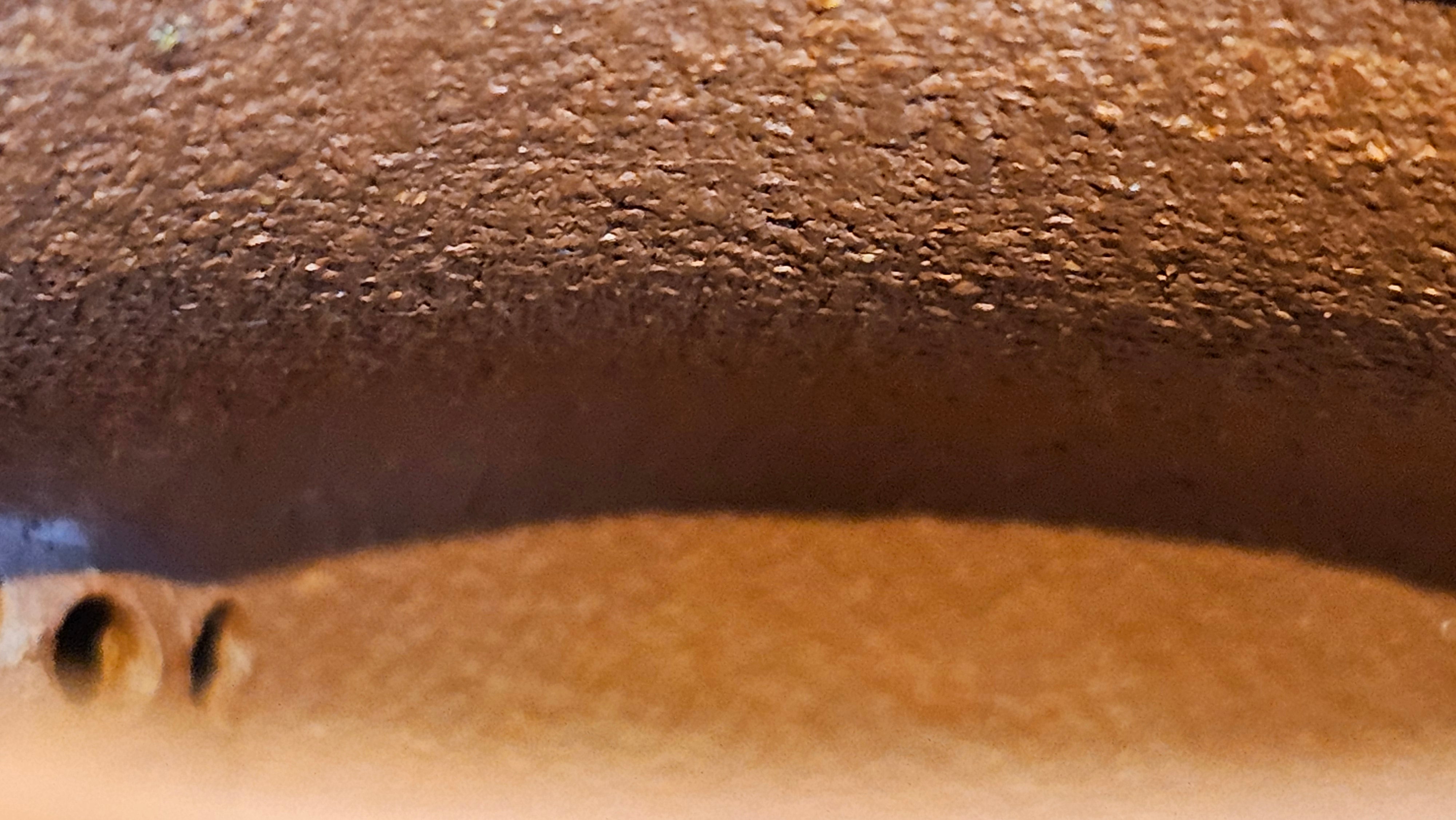 Jun De 君德, 193.7ml, Hong Jiang Po Ni 红降坡泥, by Craftsman Chen Gui Zhi 陈桂枝。(Red JiangPoNi is rarer than Yellow JiangPoNi, XiaoMeiYao ZhuNi & ZhaoZhuang ZhuNi)~Congratulations!to Mr E.W.! 1127hrs 19th Sept 2025, Berkeley, CA.