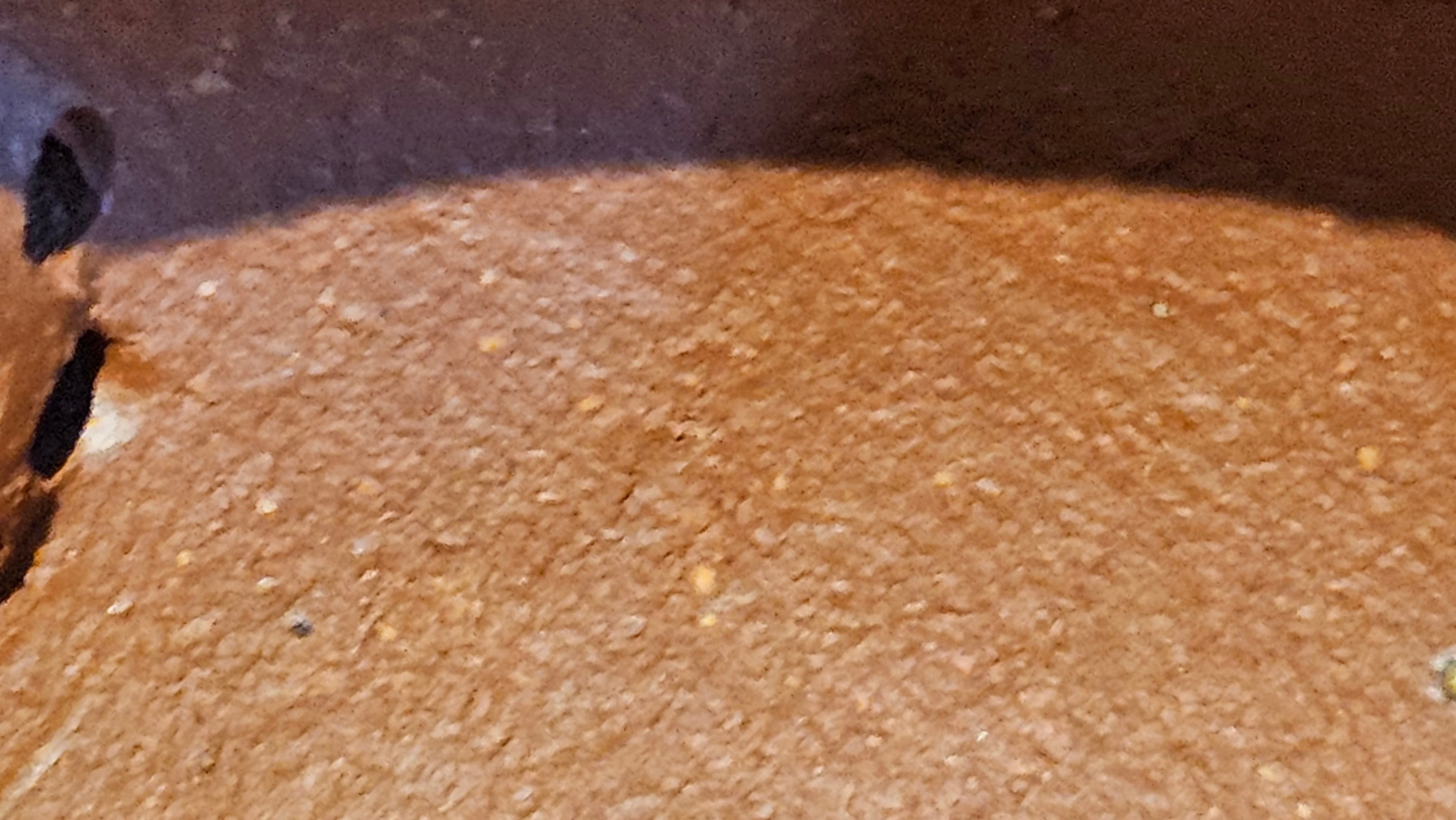 Jun De 君德, 193.7ml, Hong Jiang Po Ni 红降坡泥, by Craftsman Chen Gui Zhi 陈桂枝。(Red JiangPoNi is rarer than Yellow JiangPoNi, XiaoMeiYao ZhuNi & ZhaoZhuang ZhuNi)~Congratulations!to Mr E.W.! 1127hrs 19th Sept 2025, Berkeley, CA.