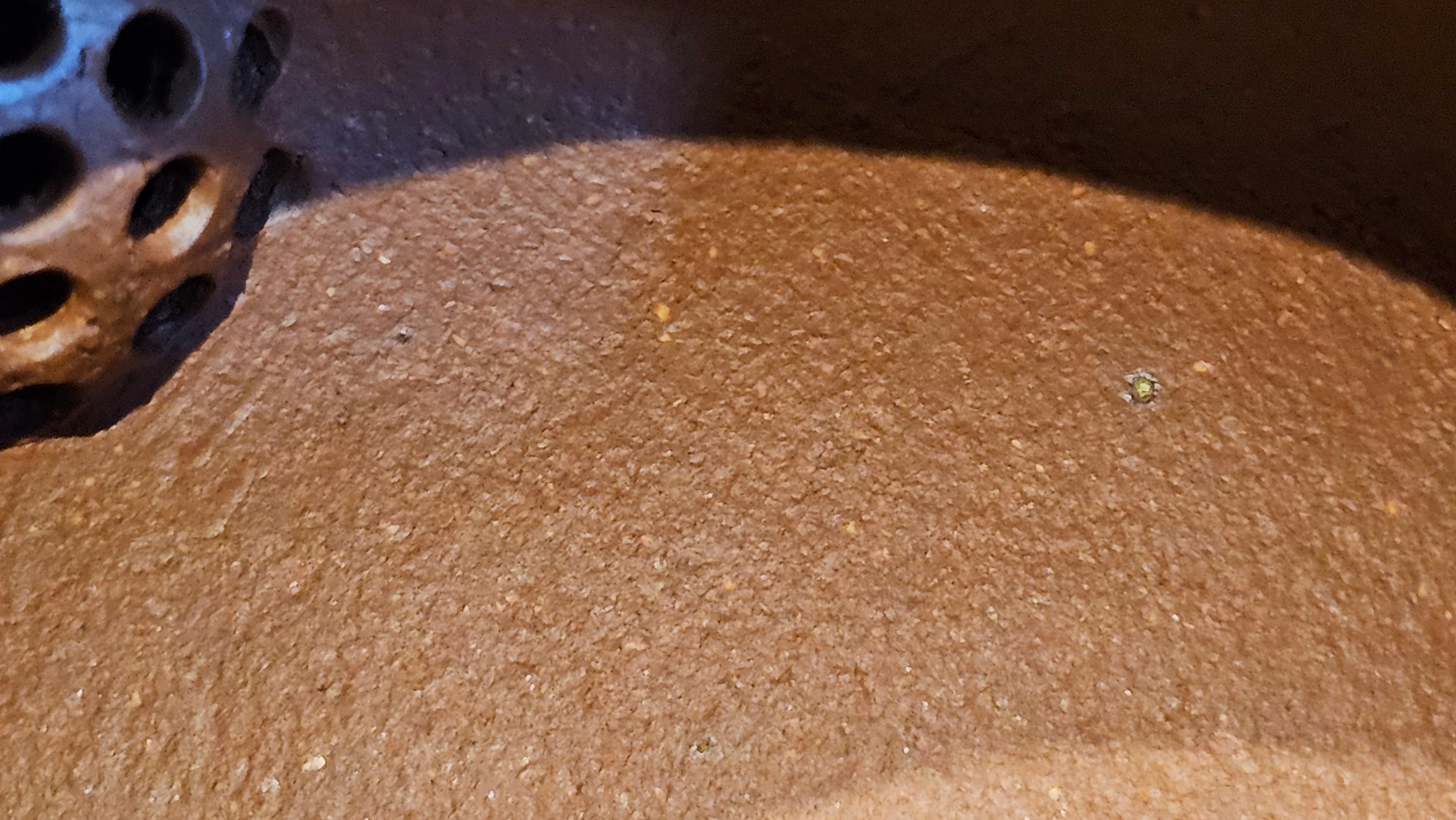 Jun De 君德, 193.7ml, Hong Jiang Po Ni 红降坡泥, by Craftsman Chen Gui Zhi 陈桂枝。(Red JiangPoNi is rarer than Yellow JiangPoNi, XiaoMeiYao ZhuNi & ZhaoZhuang ZhuNi)~Congratulations!to Mr E.W.! 1127hrs 19th Sept 2025, Berkeley, CA.