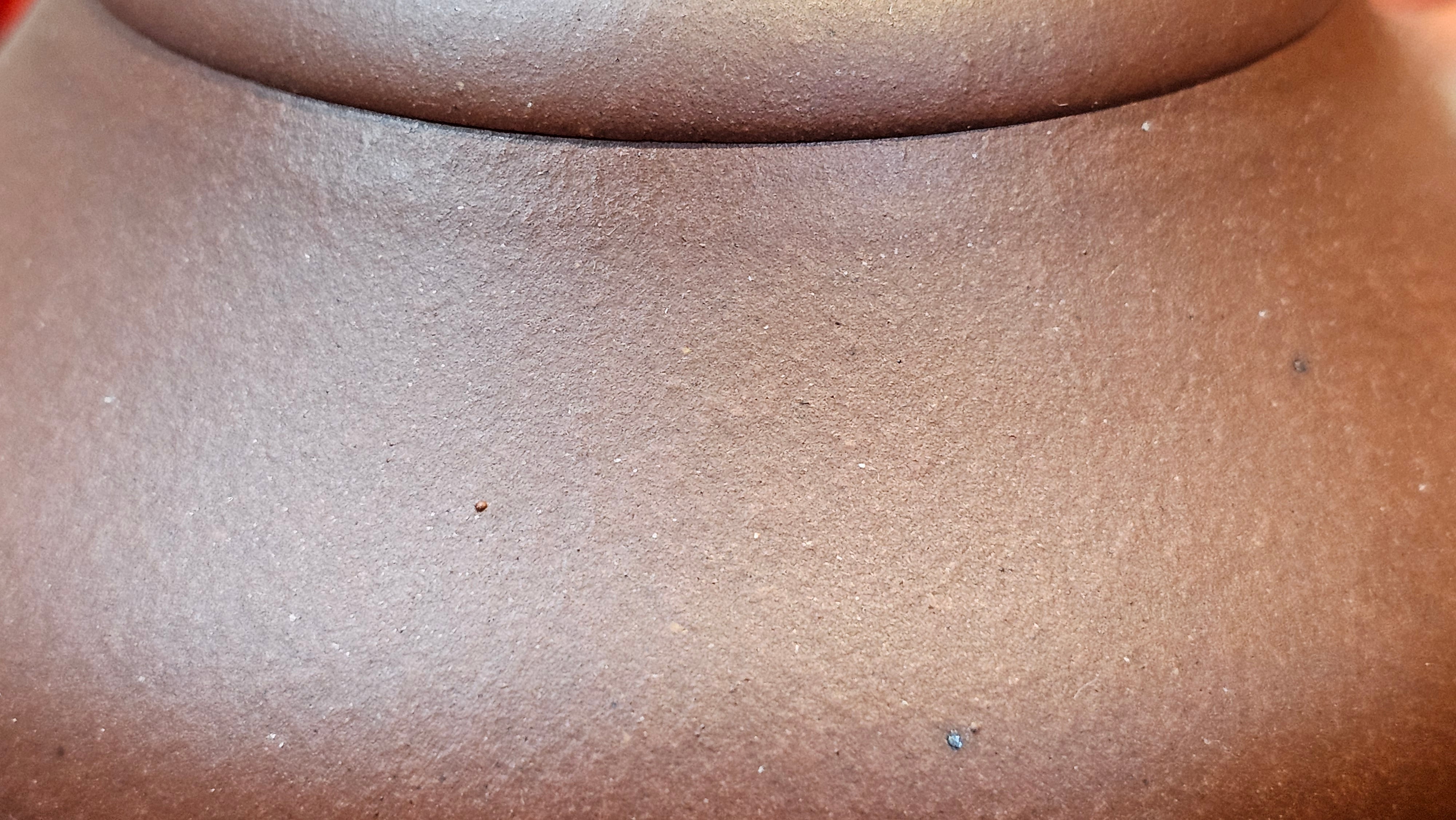 Jian Piao 见瓢, 186.6ml, Di Cao Qing Zi Ni 底槽青紫泥, by our Craftsman Li Qiu Lin 李秋林 ~!Congratulations to Mr A.A., 0617hrs!5th Oct 2025, Port Franks! Canada🇨🇦!