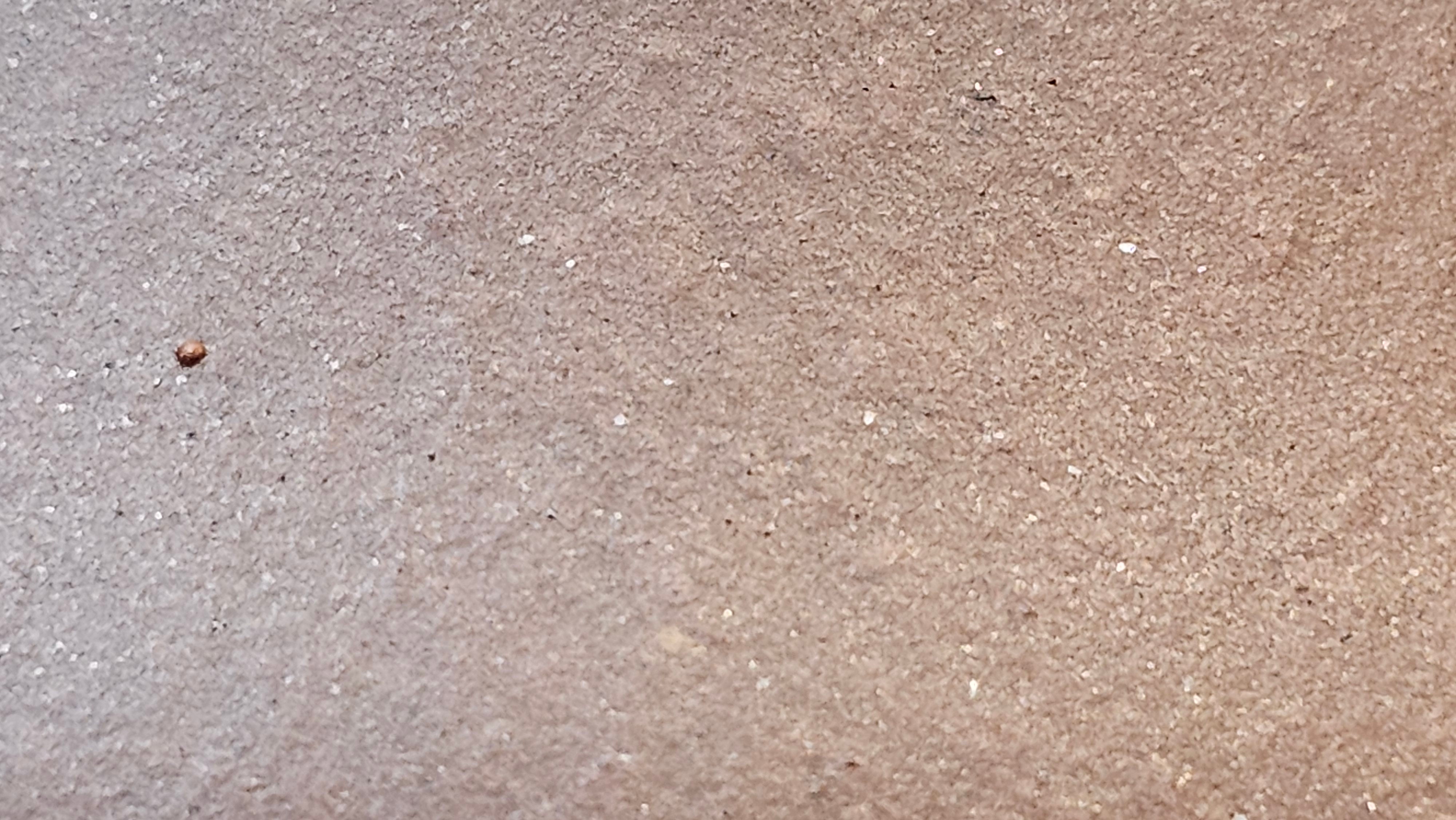 Jian Piao 见瓢, 186.6ml, Di Cao Qing Zi Ni 底槽青紫泥, by our Craftsman Li Qiu Lin 李秋林 ~!Congratulations to Mr A.A., 0617hrs!5th Oct 2025, Port Franks! Canada🇨🇦!