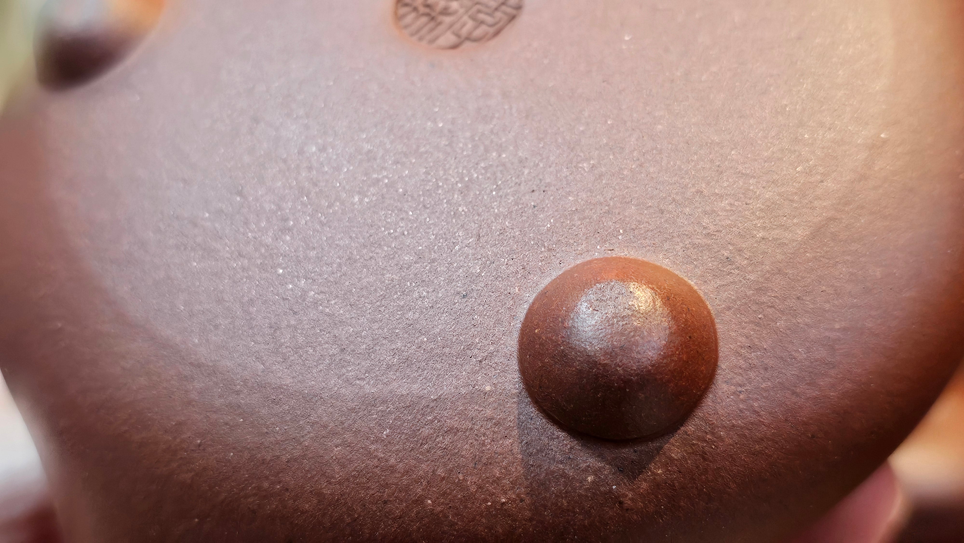 Jian Piao 见瓢, 186.6ml, Di Cao Qing Zi Ni 底槽青紫泥, by our Craftsman Li Qiu Lin 李秋林 ~!Congratulations to Mr A.A., 0617hrs!5th Oct 2025, Port Franks! Canada🇨🇦!