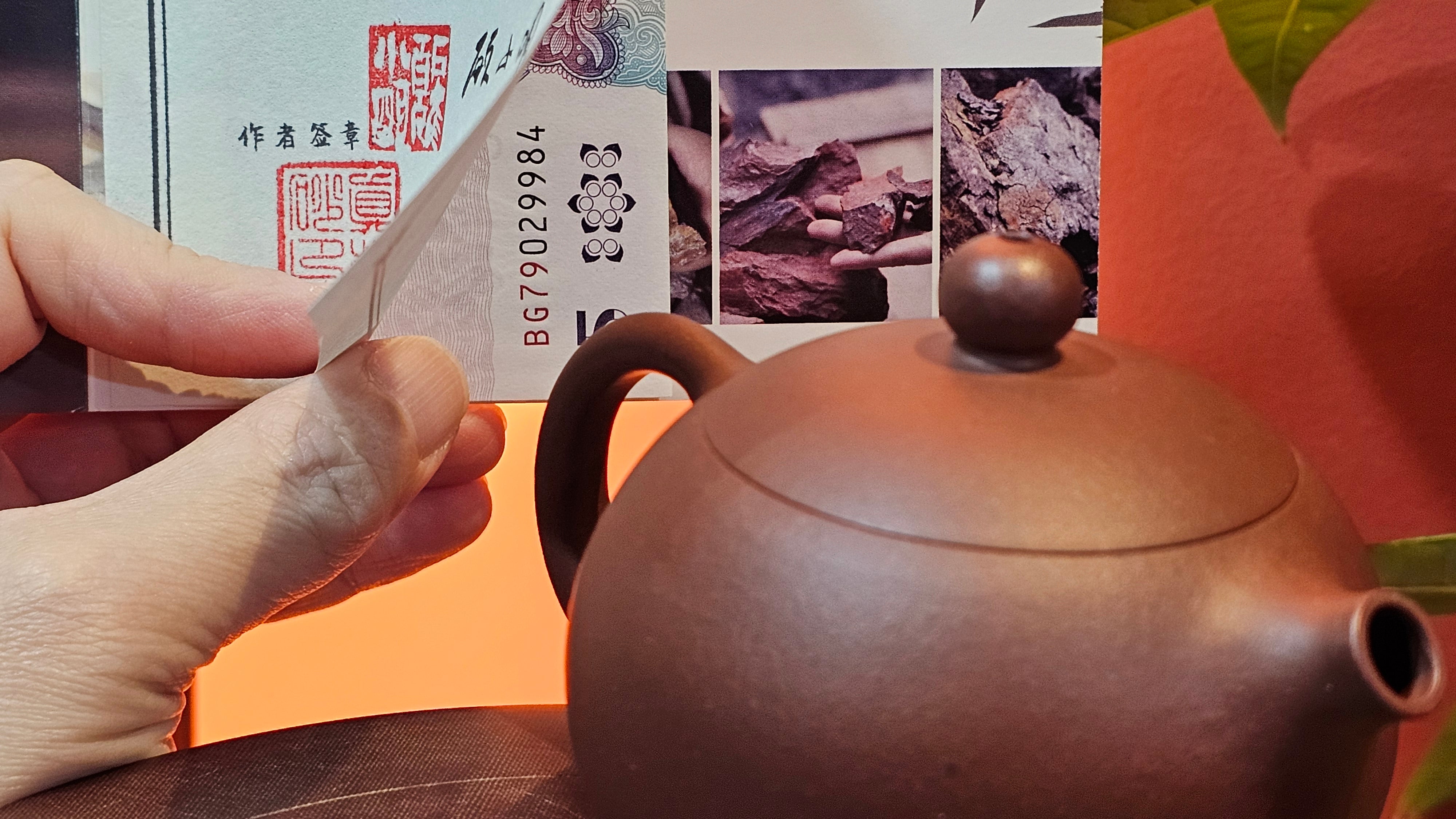 Xi Shi 西施, 157.5ml, Di Cao Qing Zi Ni 底槽青紫泥, by Craftsman Gu Xiao Ming 顾小明 ~ Congratulations!to Mr B.H.S., 1450hrs 6th August 2025, Jakarta! Indonesia🇮🇩.