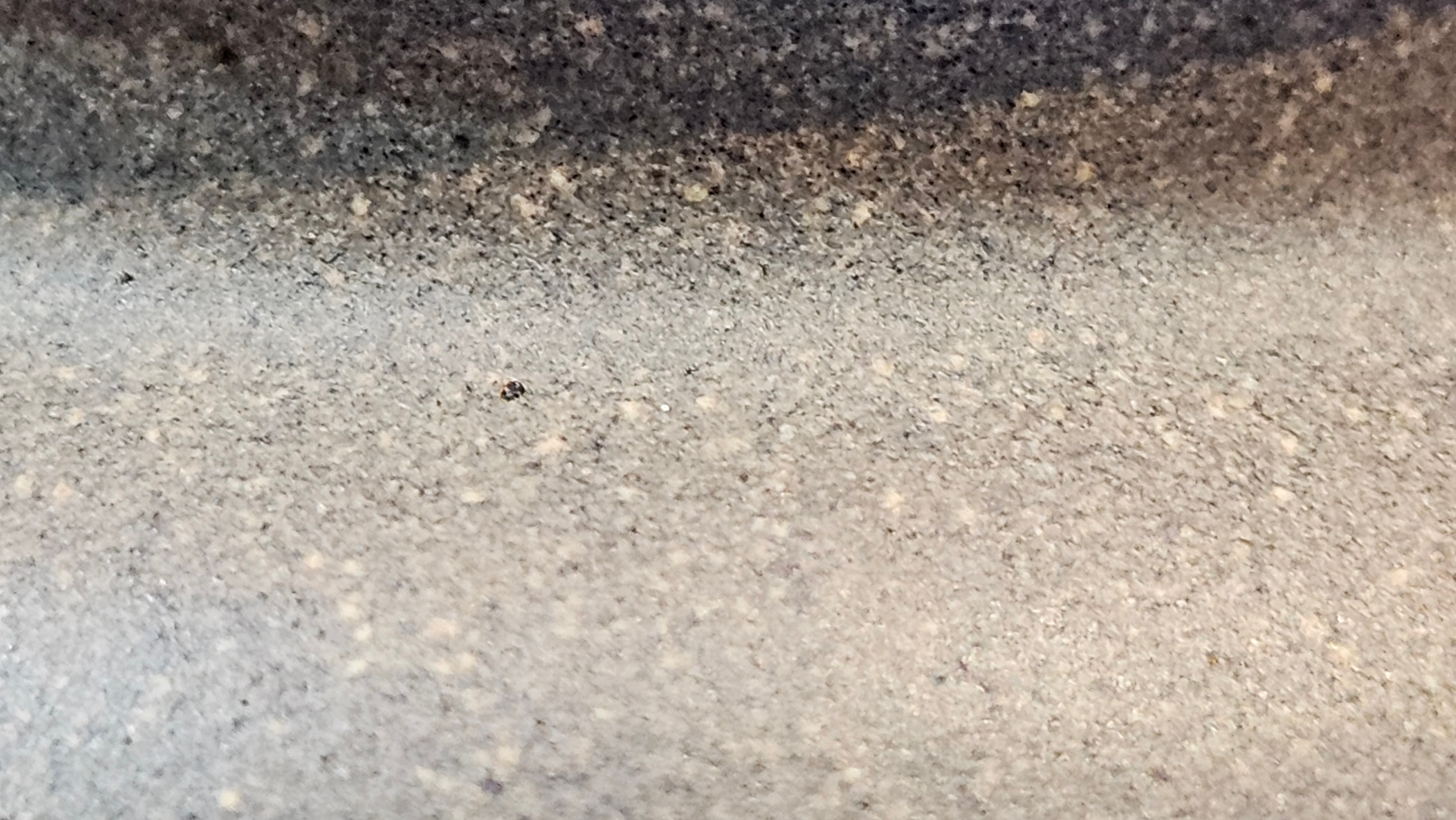 Wu Nian Hu《无念壶》, 162.8ml, Qing Hui Duan 青灰段泥, by our Craftsman Zhang Huan 张欢, Engraving by Craftsman Nan Shan Lao Ren 南山老人 ~ Congratulations!to Ms M.L., 0853hrs 6th August 2025, Phoenix, AZ!