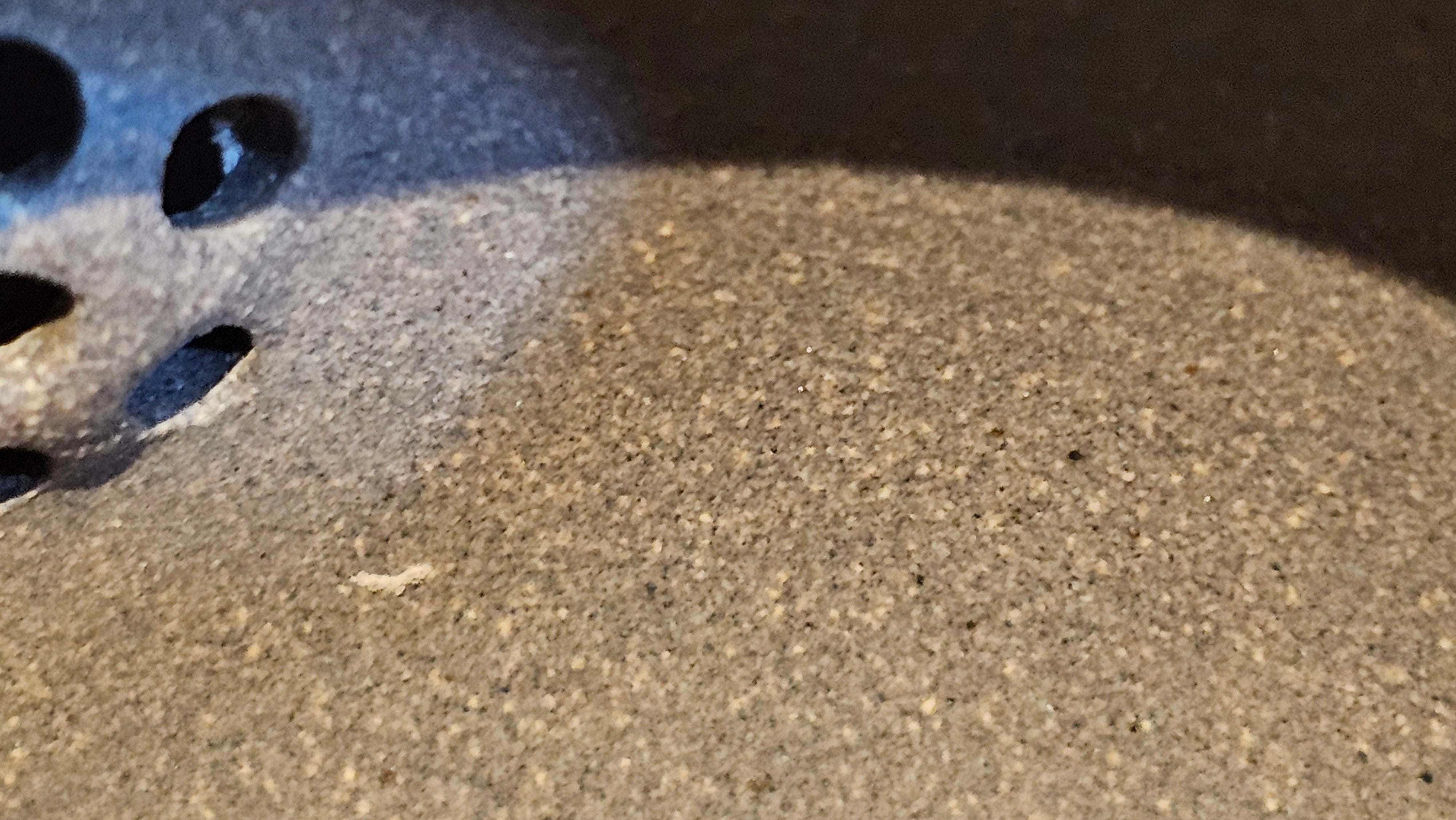 Wu Nian Hu《无念壶》, 162.8ml, Qing Hui Duan 青灰段泥, by our Craftsman Zhang Huan 张欢, Engraving by Craftsman Nan Shan Lao Ren 南山老人 ~ Congratulations!to Ms M.L., 0853hrs 6th August 2025, Phoenix, AZ!