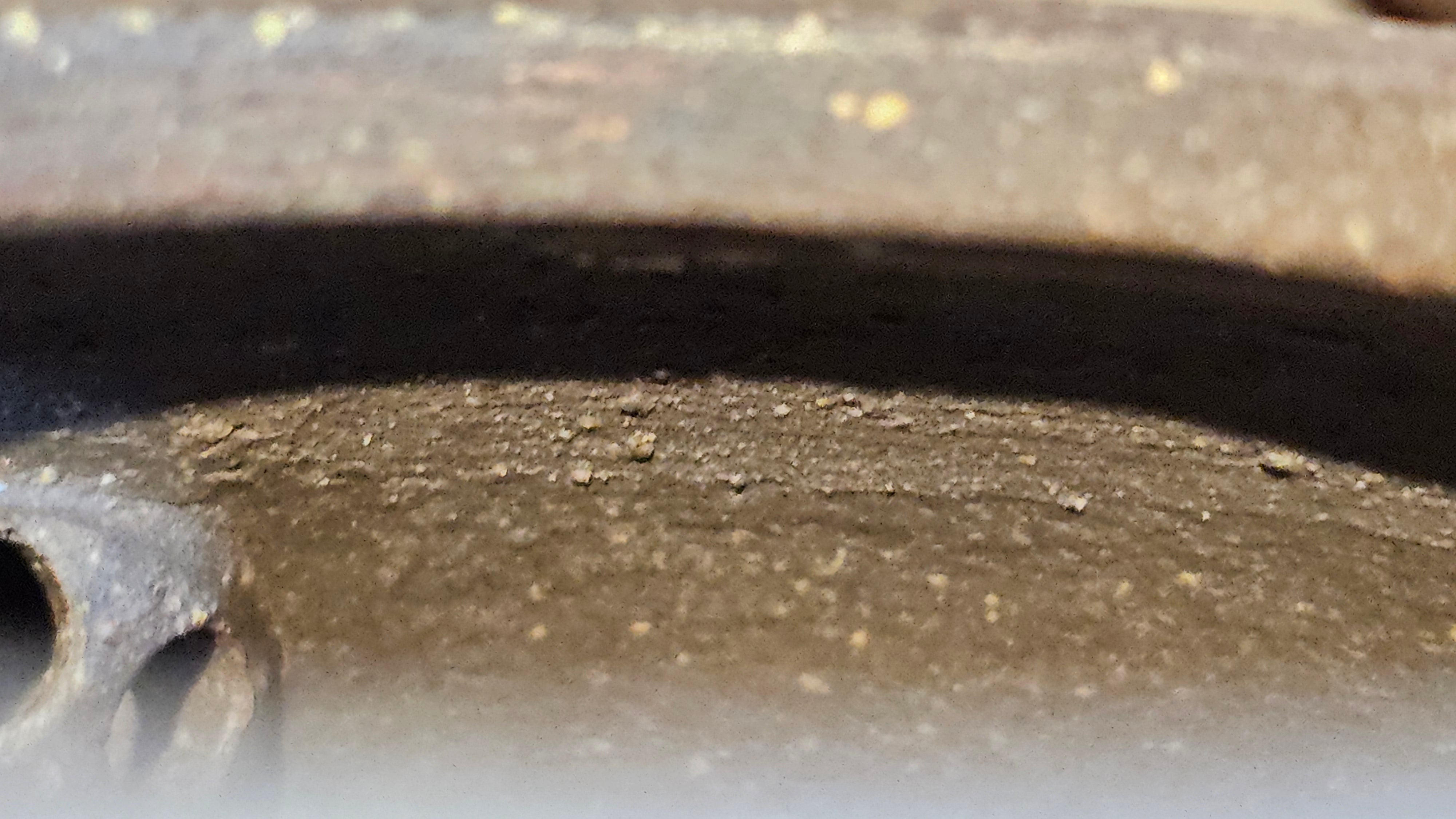 Du Zhi Hu《笃志壶》, 171.9ml, Hei Zi Ni 黑紫泥, by our Craftsman Zhang Huan 张欢, Calligraphy and Bamboo Engraving by Craftsman Yi Cheng 逸成 ~ !Congratulations to Ms M.L.!!1011hrs 8th August 2025, Phoenix, AZ!