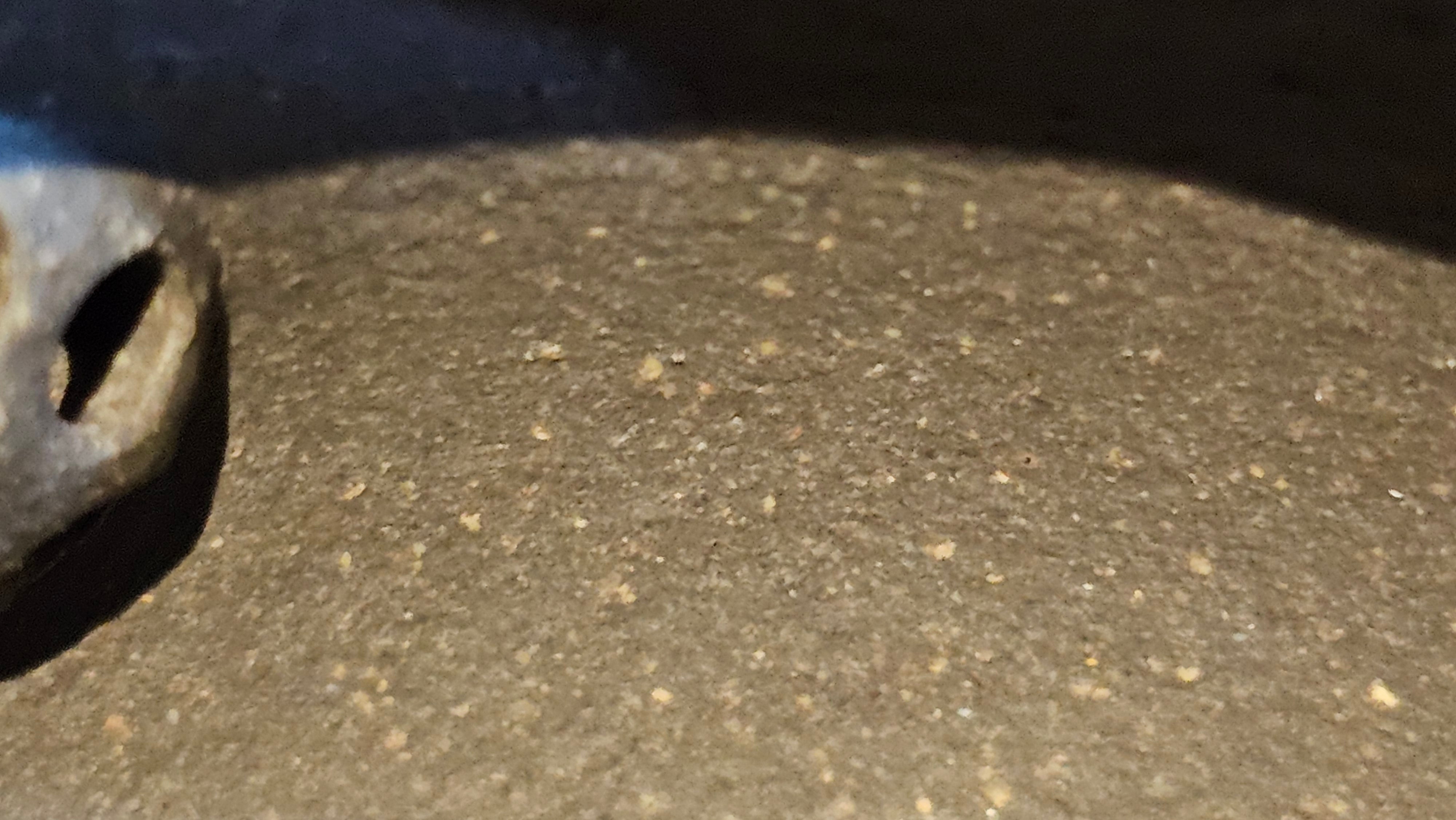 Du Zhi Hu《笃志壶》, 171.9ml, Hei Zi Ni 黑紫泥, by our Craftsman Zhang Huan 张欢, Calligraphy and Bamboo Engraving by Craftsman Yi Cheng 逸成 ~ !Congratulations to Ms M.L.!!1011hrs 8th August 2025, Phoenix, AZ!