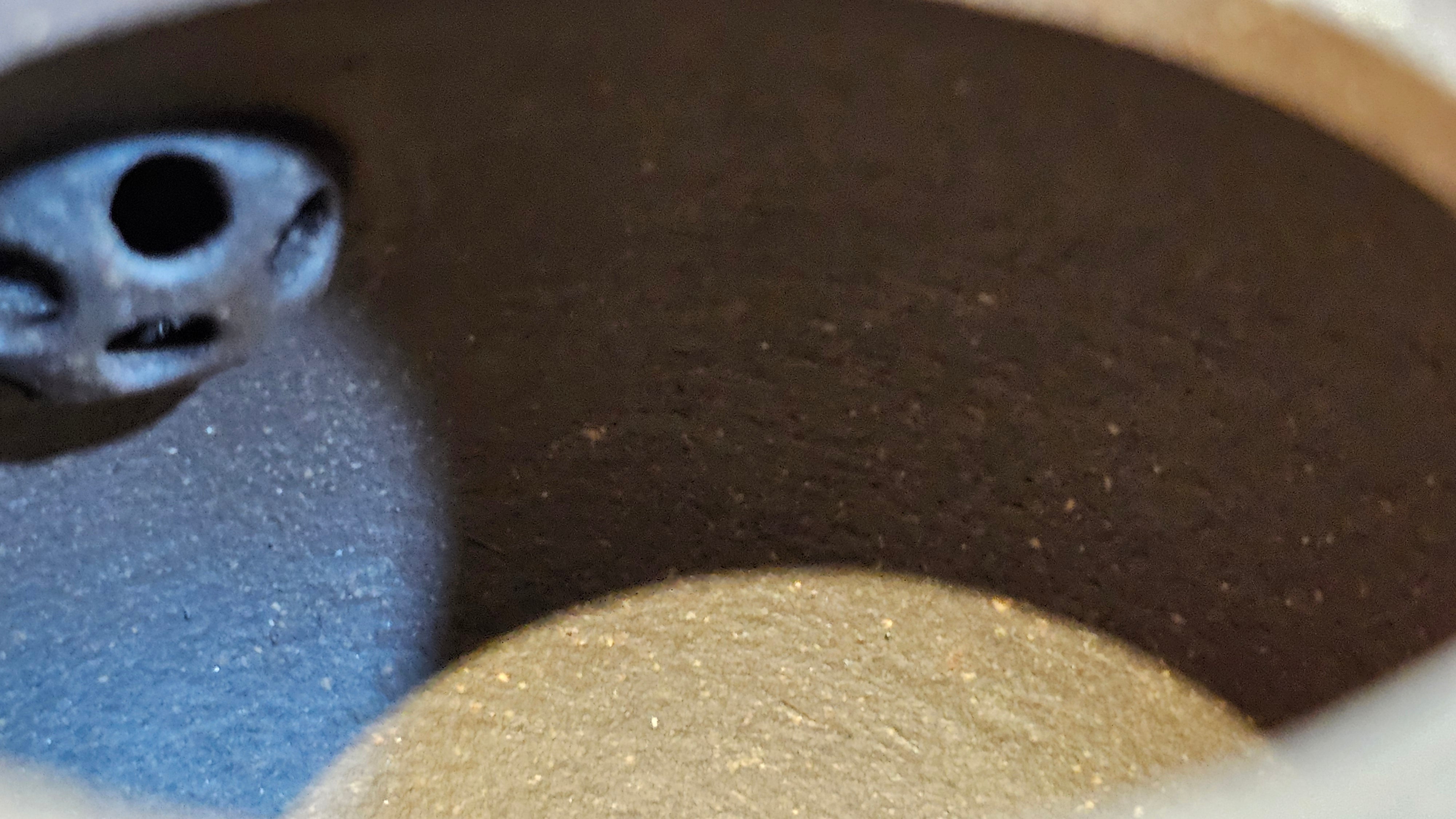 Du Zhi Hu《笃志壶》, 173.8ml, Hei Zi Ni 黑紫泥, by our Craftsman Zhang Huan 张欢, Calligraphy and Plum Blossoms Engraving by Craftsman Yi Cheng 逸成 ~!Congratulations to Ms J.C.! 0347hrs 9th August 2025, Los Angeles, CA.