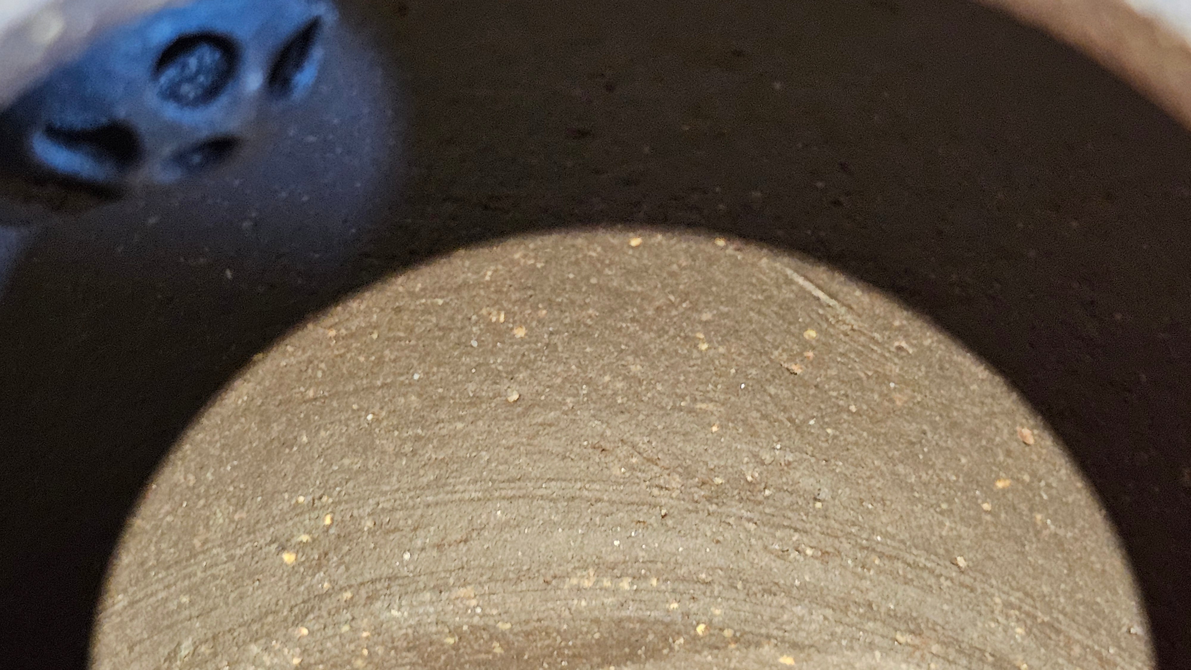 Du Zhi Hu《笃志壶》, 173.9ml, Hei Zi Ni 黑紫泥, by our Craftsman Zhang Huan 张欢, Calligraphy and Bamboos Engraving by Craftsman Yi Cheng 逸成。