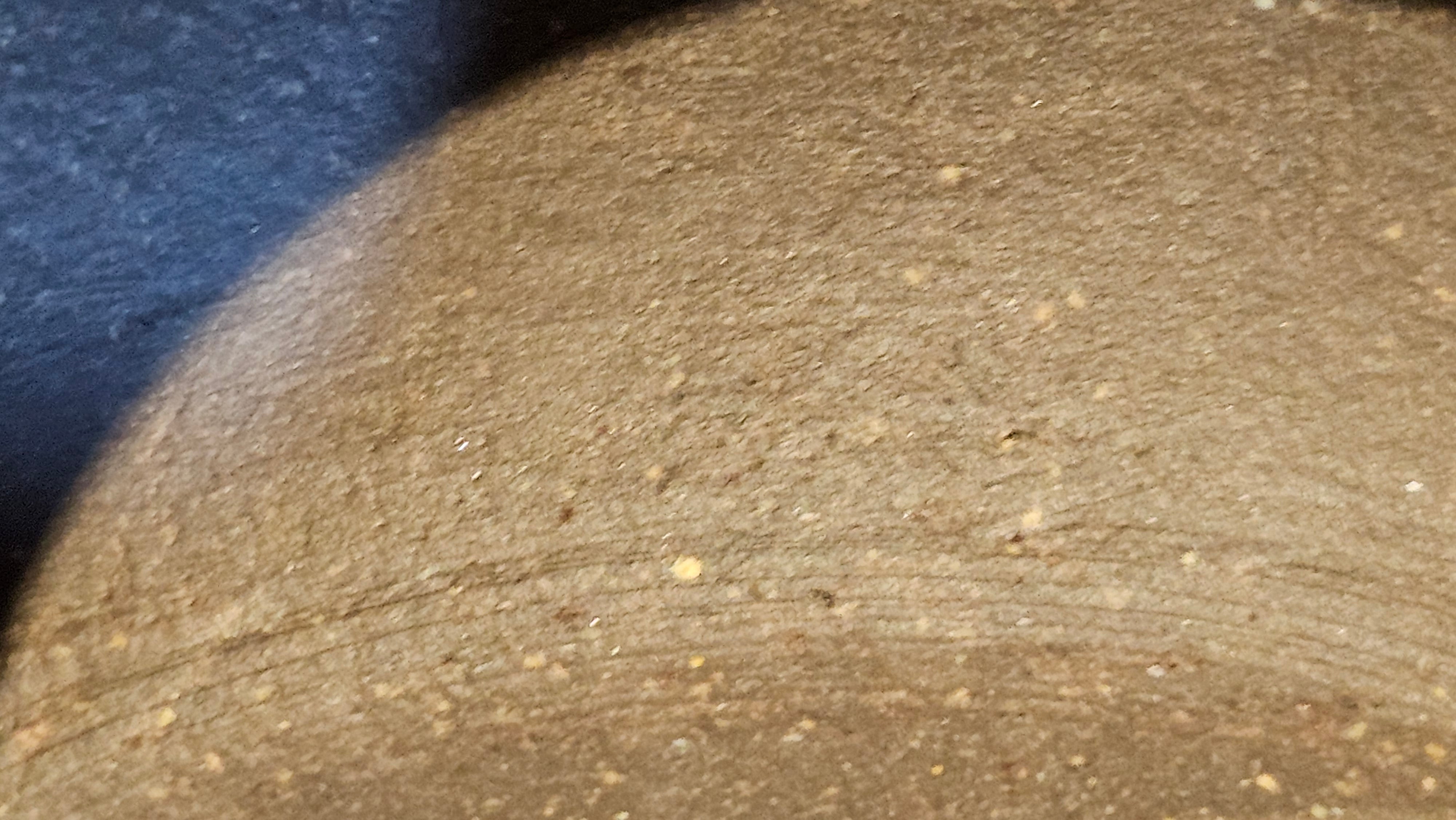 Du Zhi Hu《笃志壶》, 173.9ml, Hei Zi Ni 黑紫泥, by our Craftsman Zhang Huan 张欢, Calligraphy and Bamboos Engraving by Craftsman Yi Cheng 逸成。